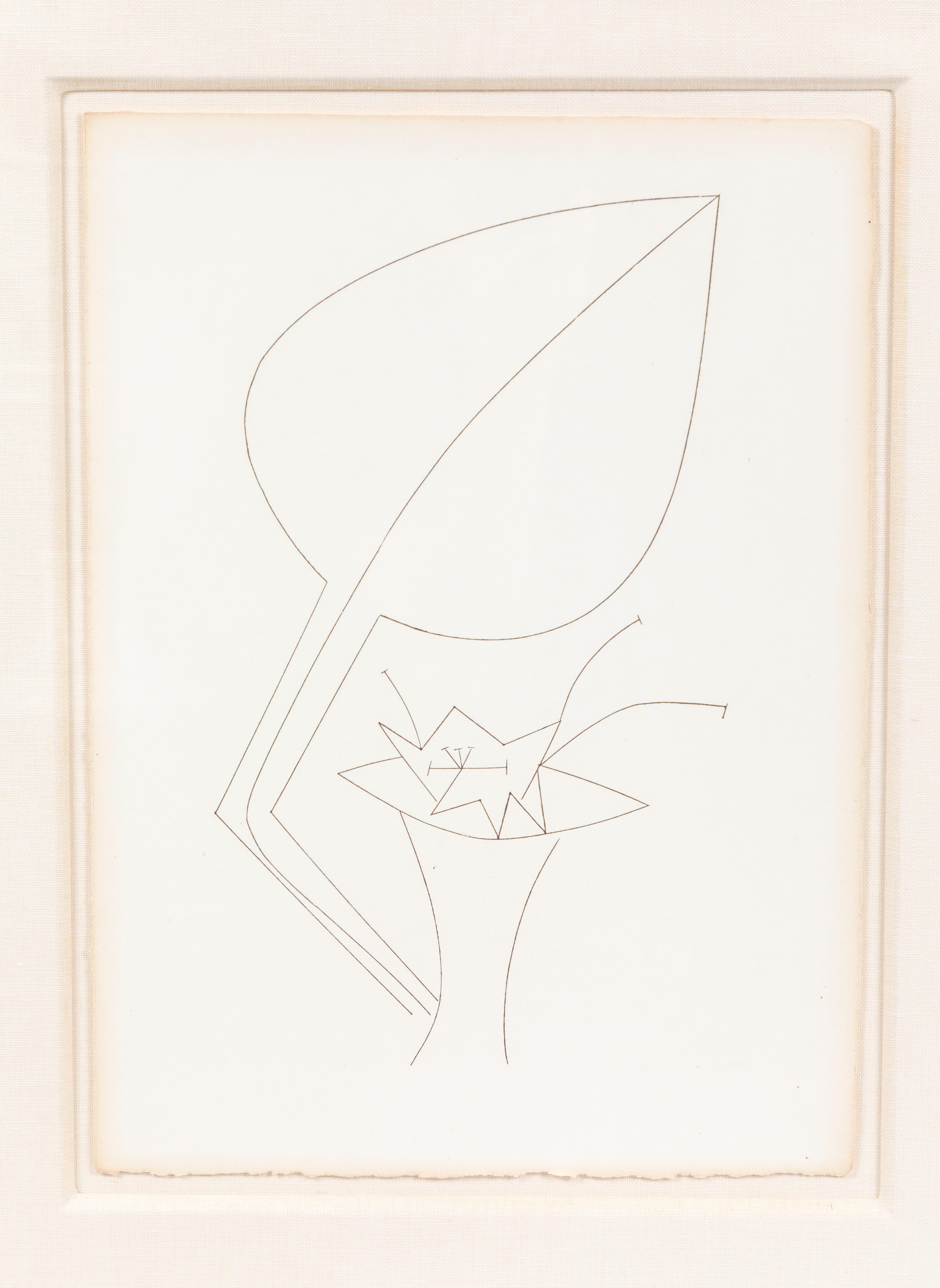 Stunningly Framed, Picasso Book Plates 2