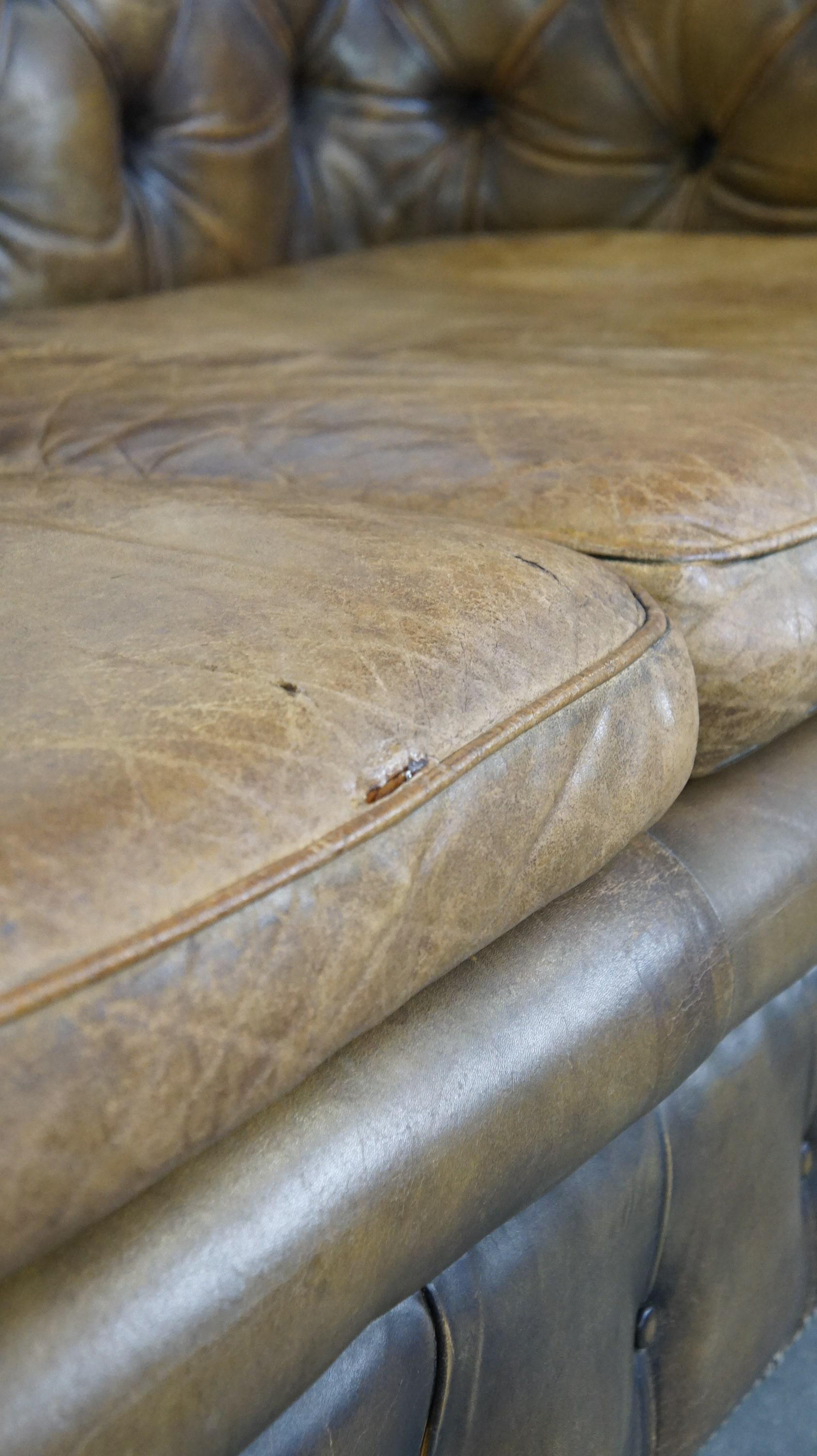 Sofa Chesterfield à 2,5 places en cuir de vache d'une belle couleur vert mousse en vente 9