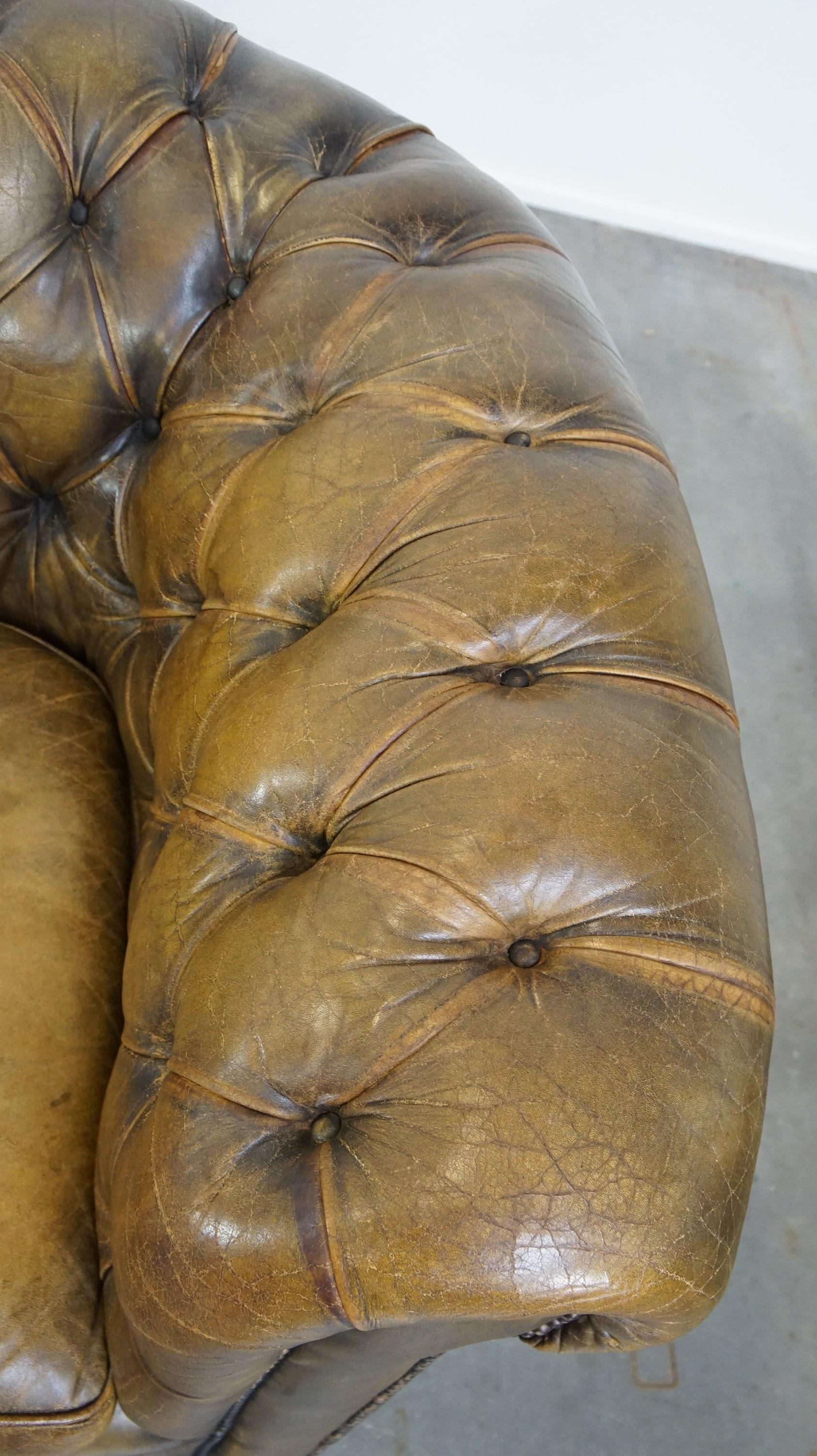 Sofa Chesterfield à 2,5 places en cuir de vache d'une belle couleur vert mousse en vente 2
