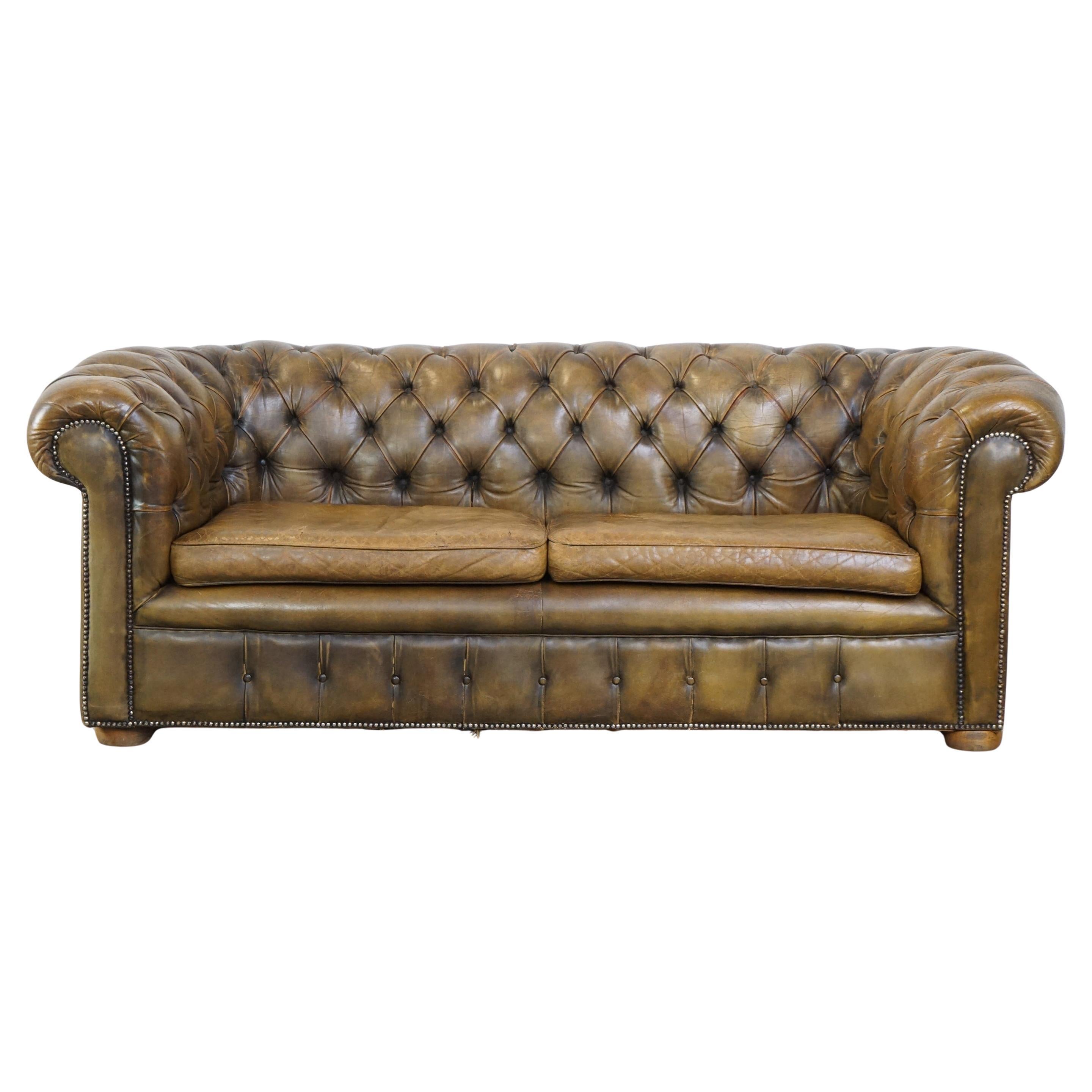 Sturdy 2,5-Sitzer- Chesterfield-Sofa aus Rindsleder in einer schönen moosgrünen Farbe