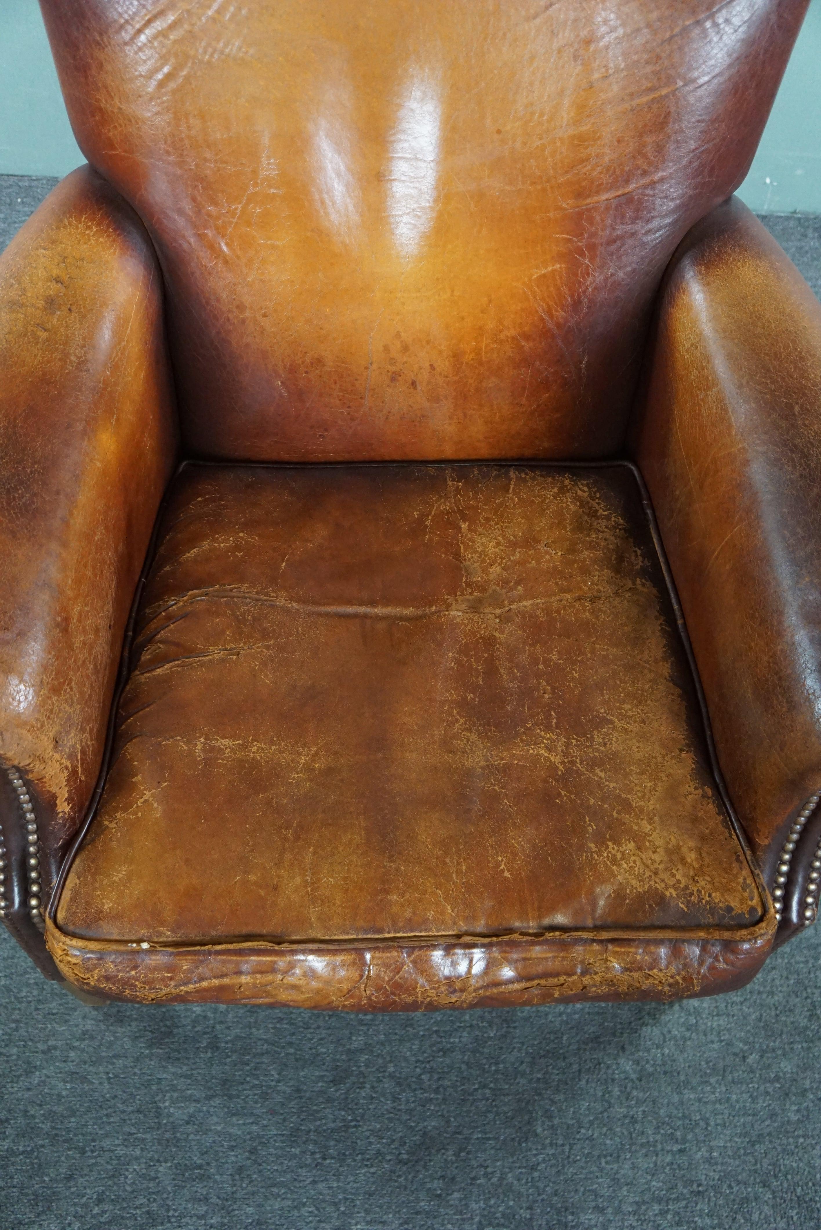 Sturdy sheep leather armchair with a distressed look For Sale 1