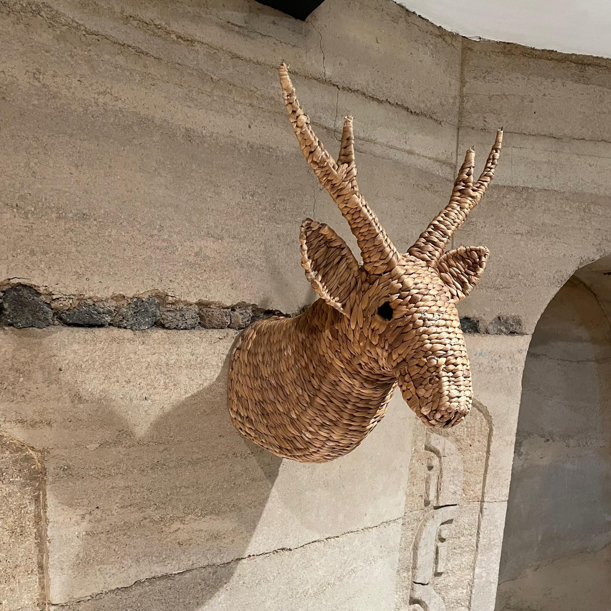 Style Mario Lopez Torres Handwoven Deer Head Mount Stag Wall Art Sculpture  4