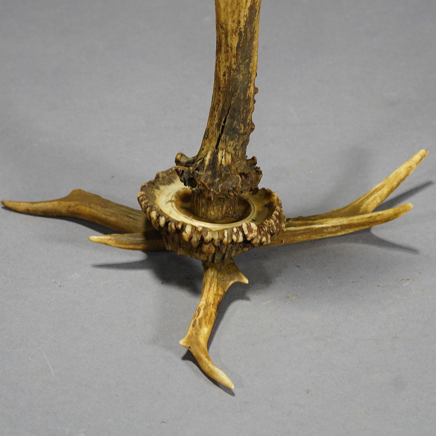 19th Century Stylish Cabin Decor Antler Candlestick, Germany, circa 1900 For Sale