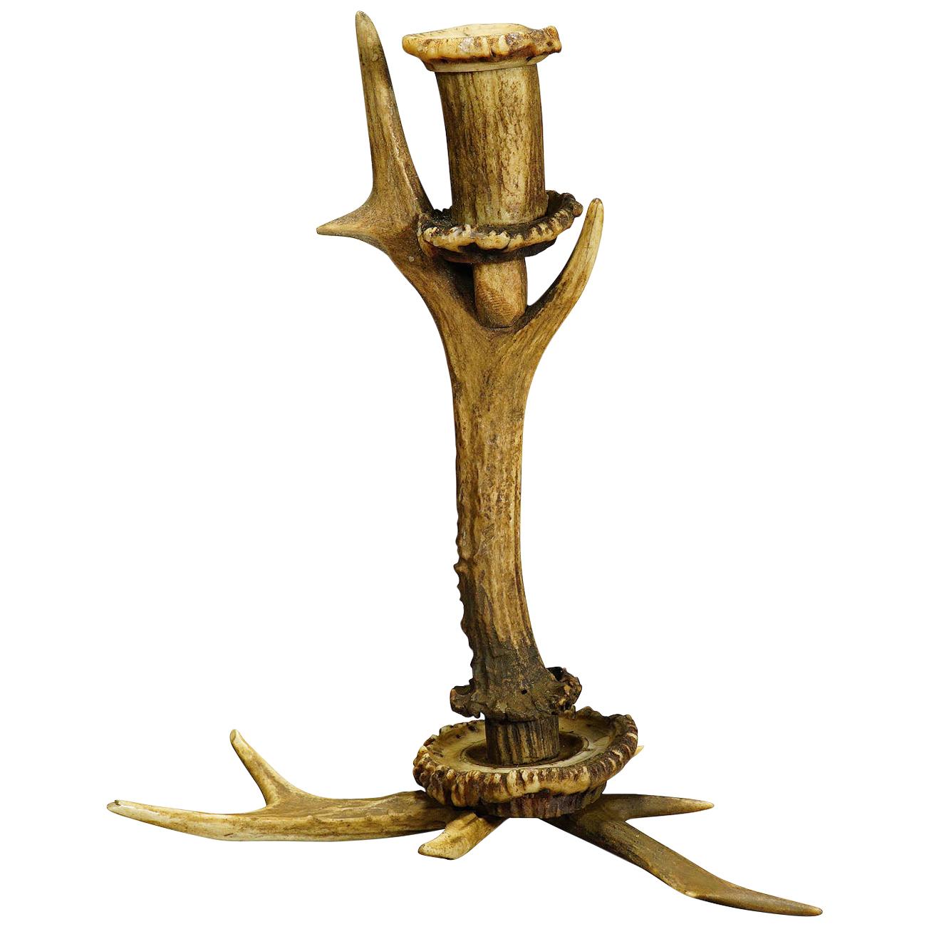 Stylish Cabin Decor Antler Candlestick, Germany, circa 1900 For Sale