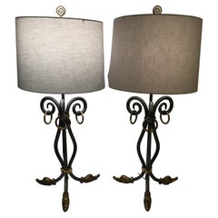 Stylish Pair of Silver Iron and Brass Table Lamps with Duck Feet