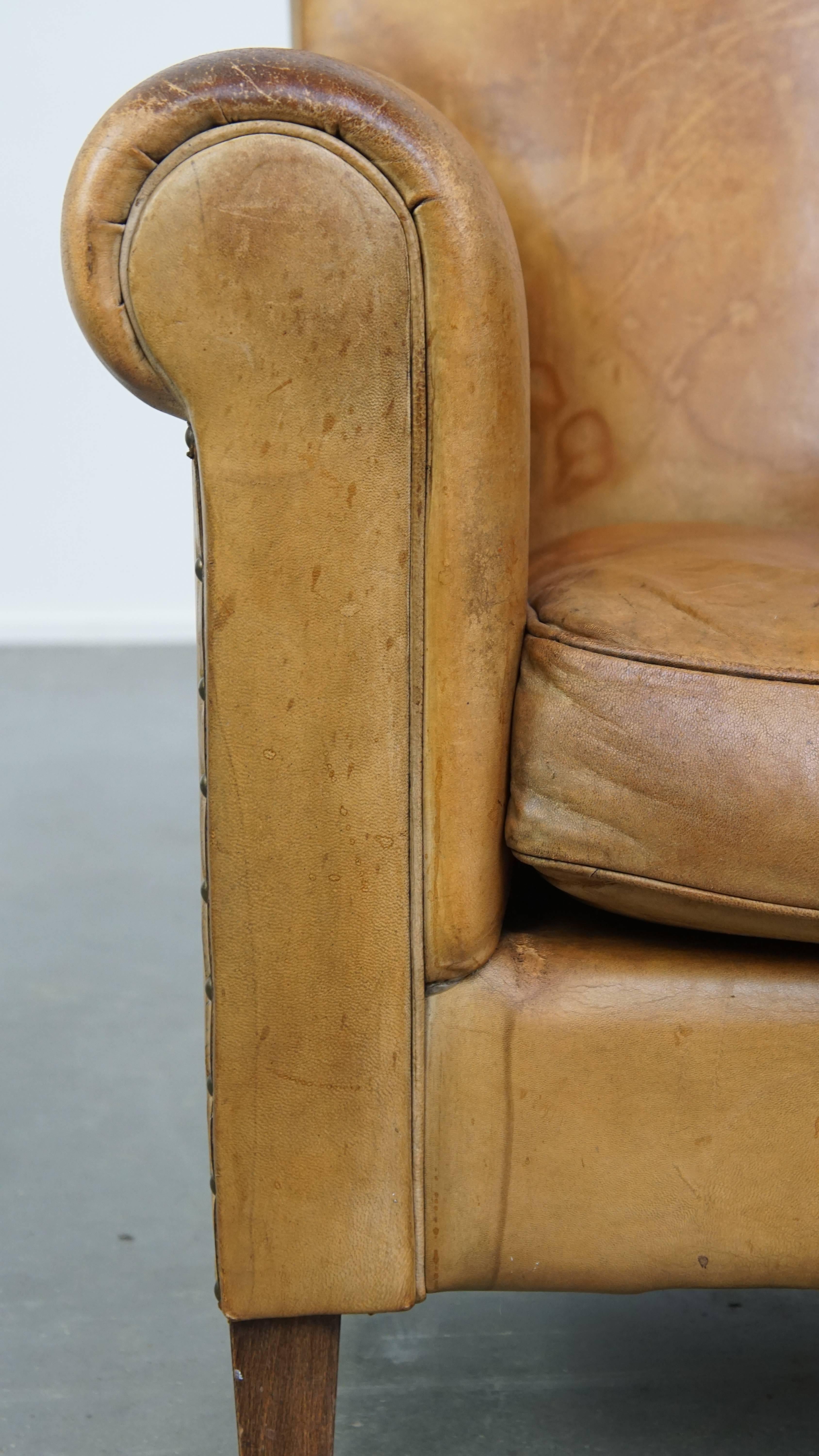 Fauteuil élégant en peau de mouton vintage patiné avec une assise confortable en vente 4