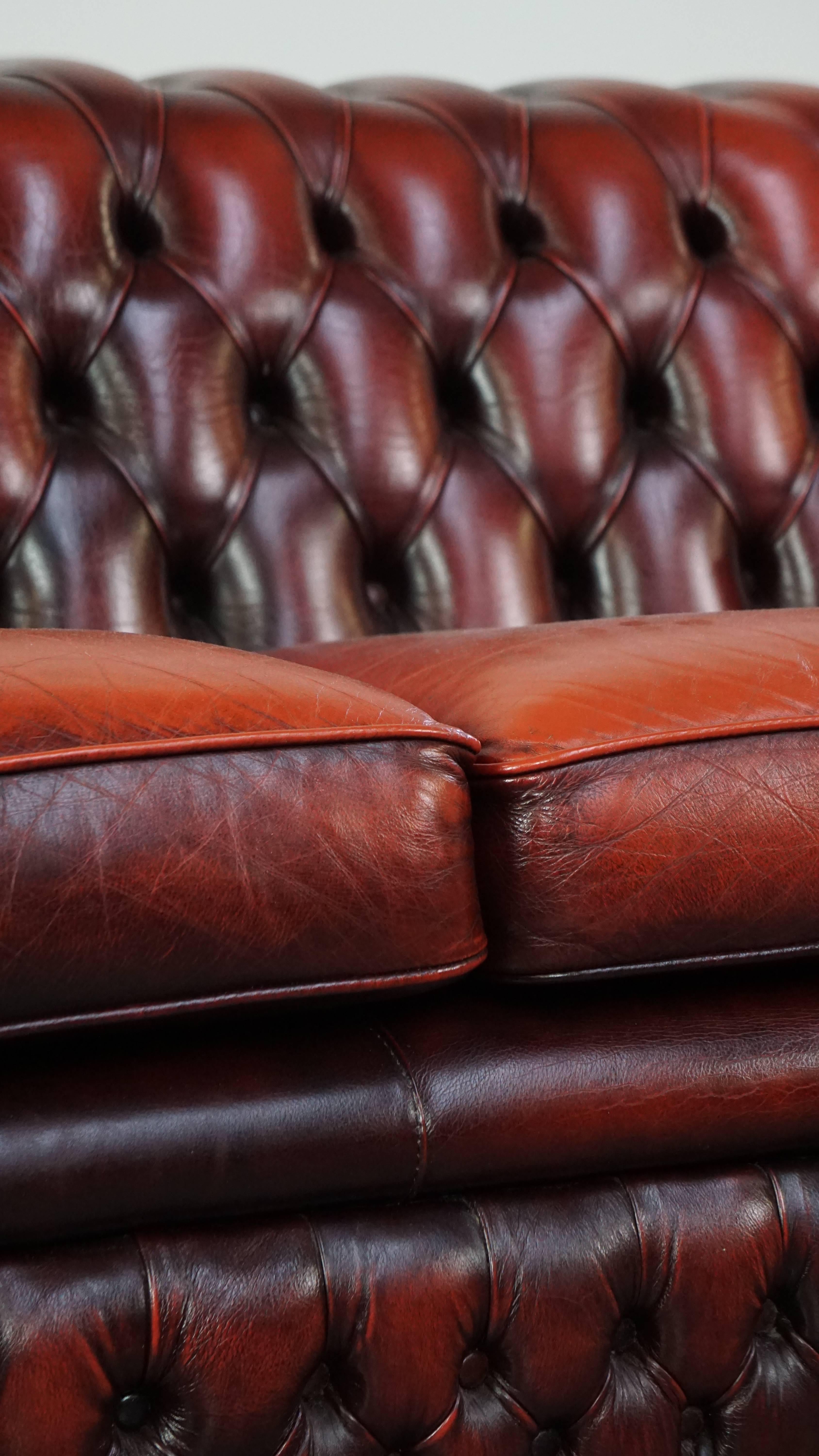 Magnifique canapé anglais chesterfield rouge à 2,5 places en cuir de vache en vente 4