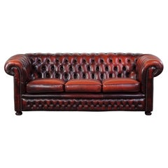 Stylish red spacious English 2.5-seater cowhide leather chesterfield sofa