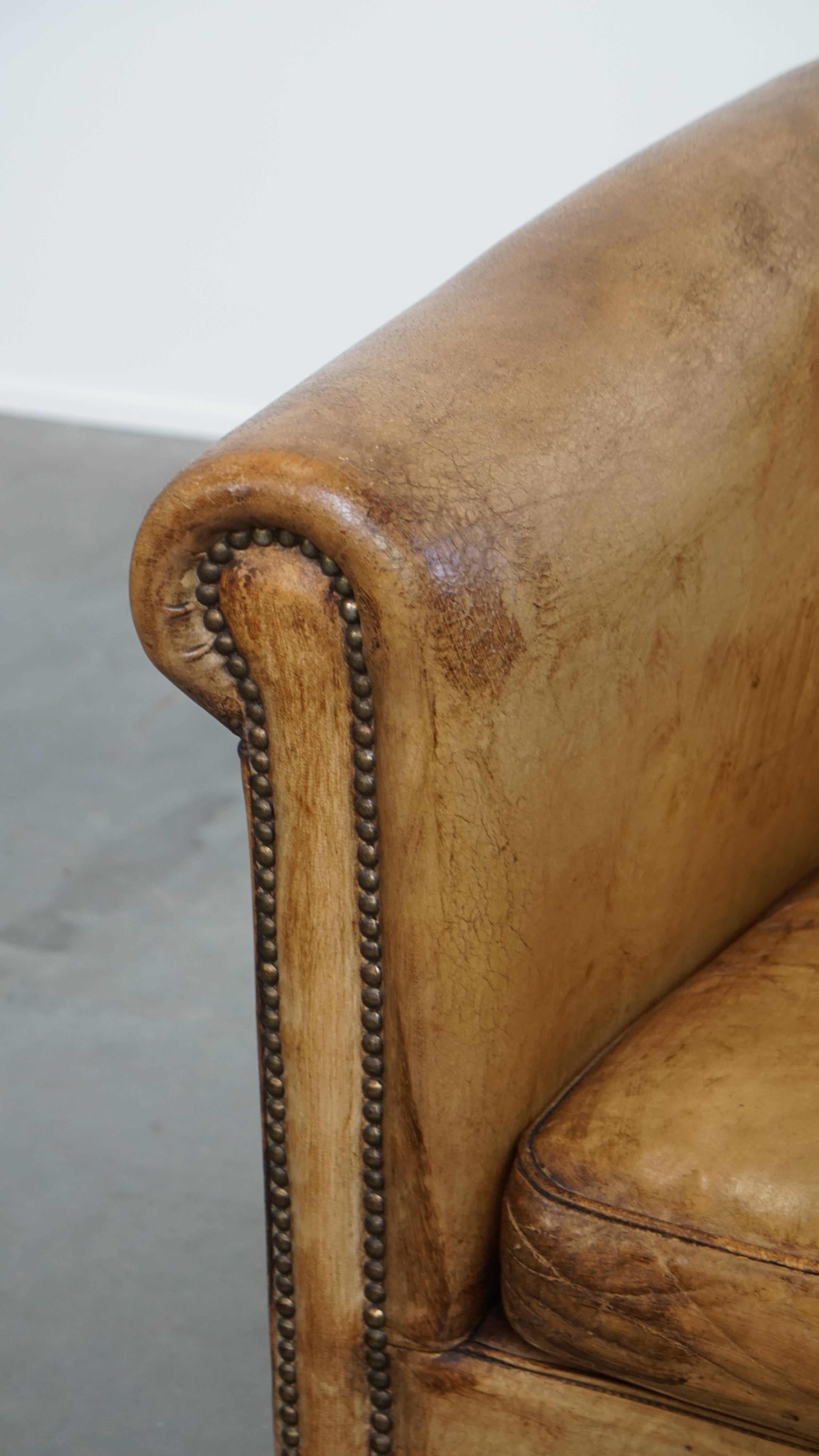 Fauteuil club élégant en cuir de mouton avec de belles couleurs en vente 3