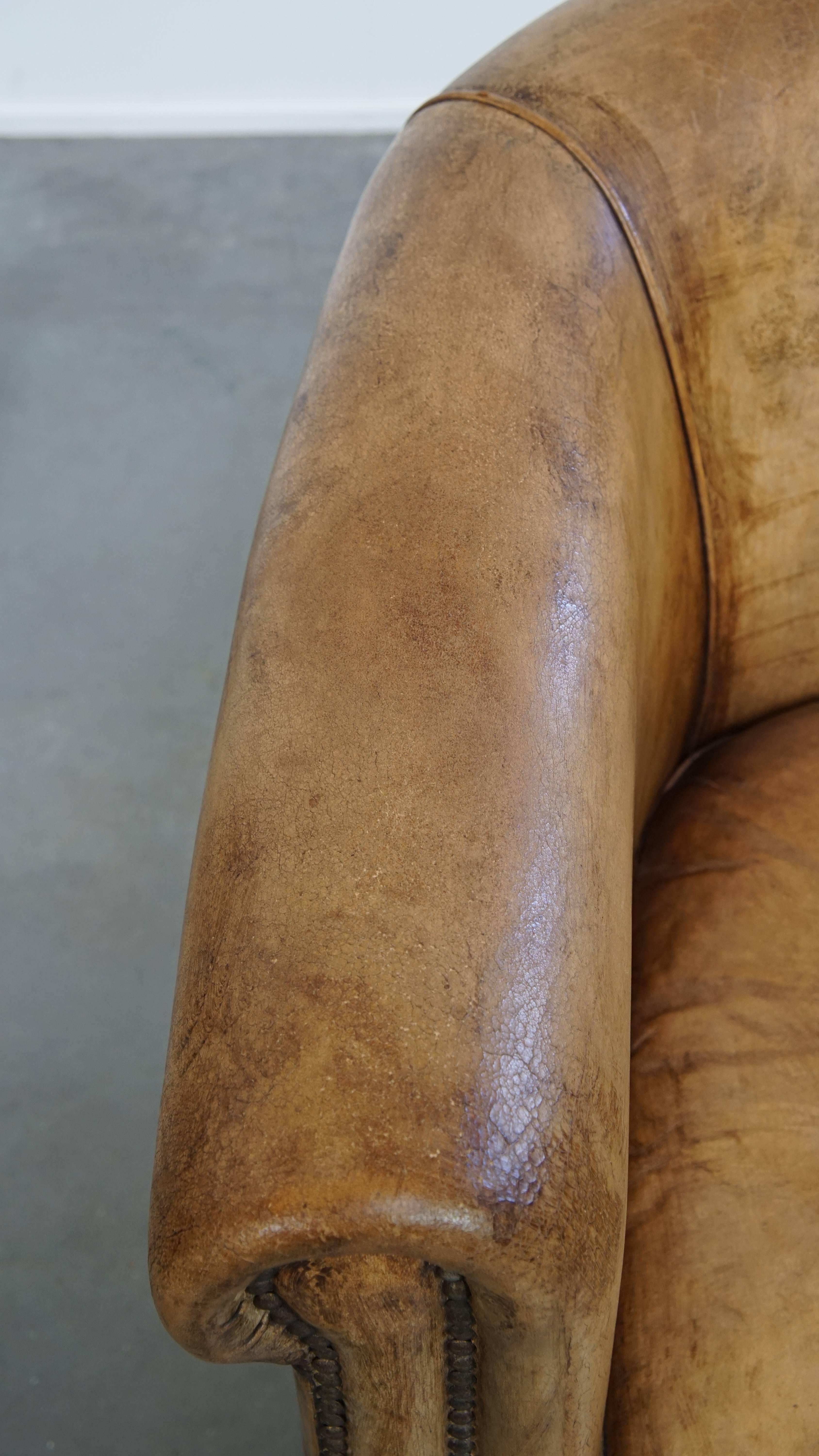 Cuir Fauteuil club élégant en cuir de mouton avec de belles couleurs en vente