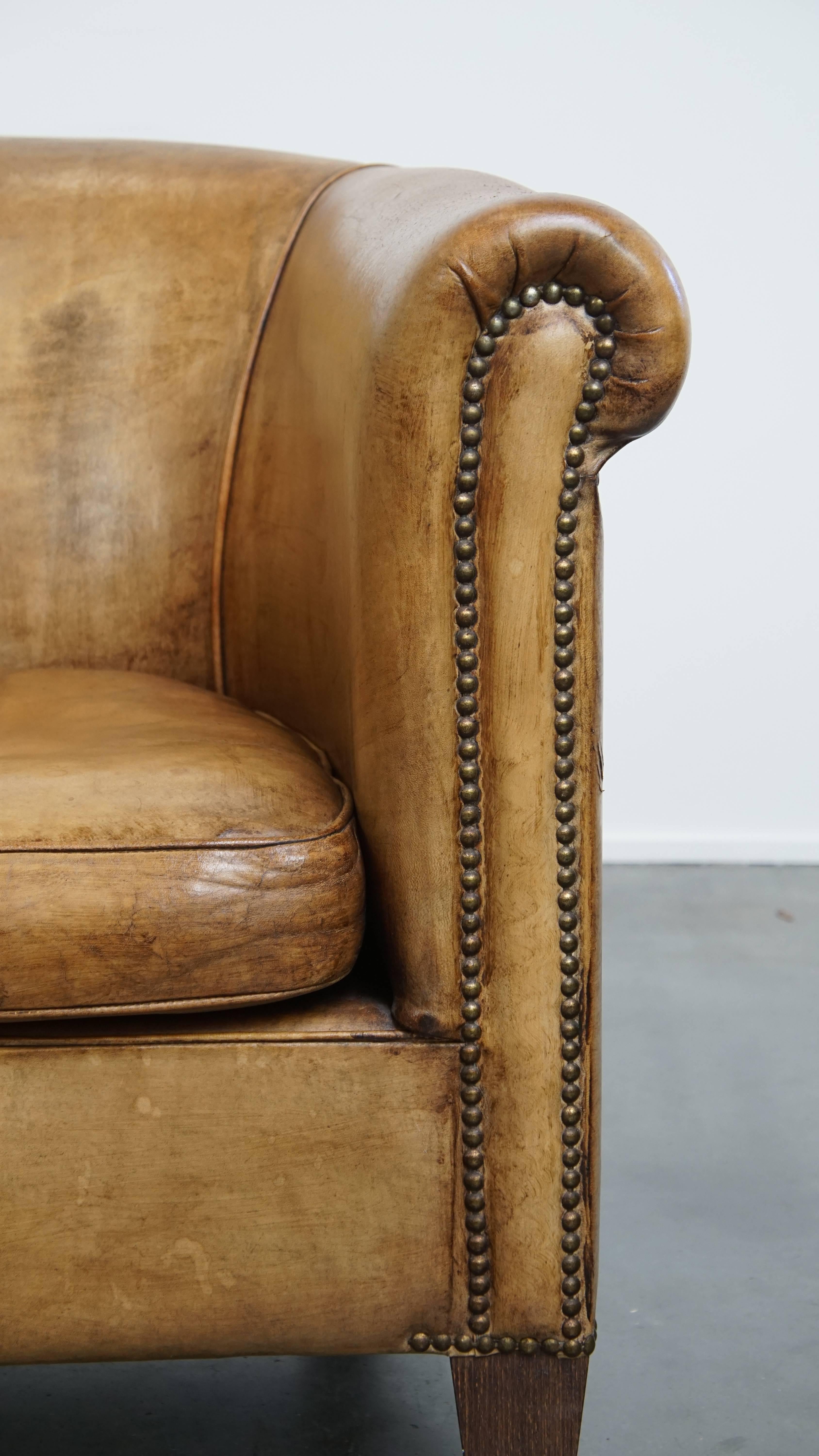 Fauteuil club élégant en cuir de mouton avec de belles couleurs en vente 2