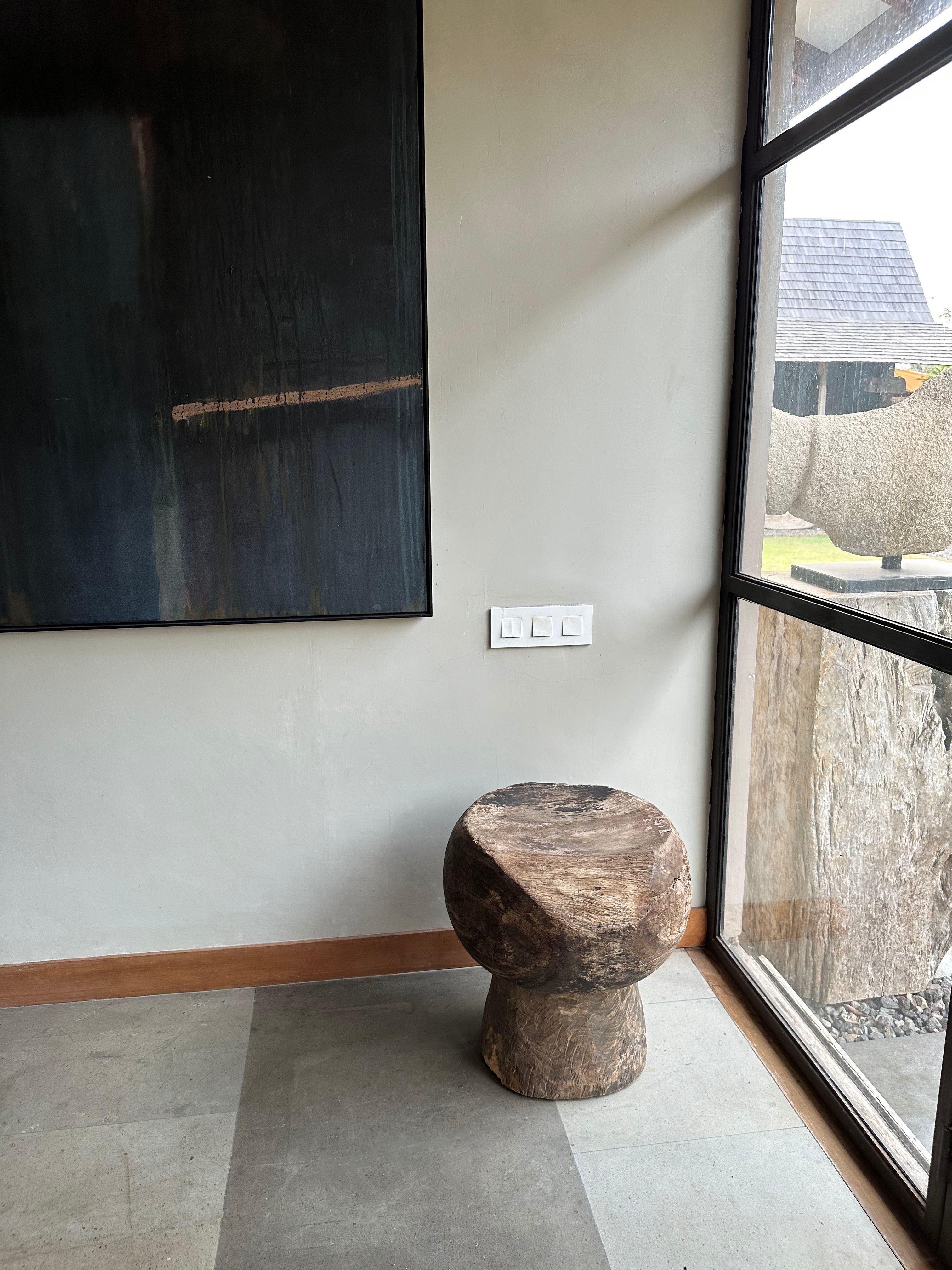 20th Century Suar Wood Stool From Java, Modern Organic For Sale