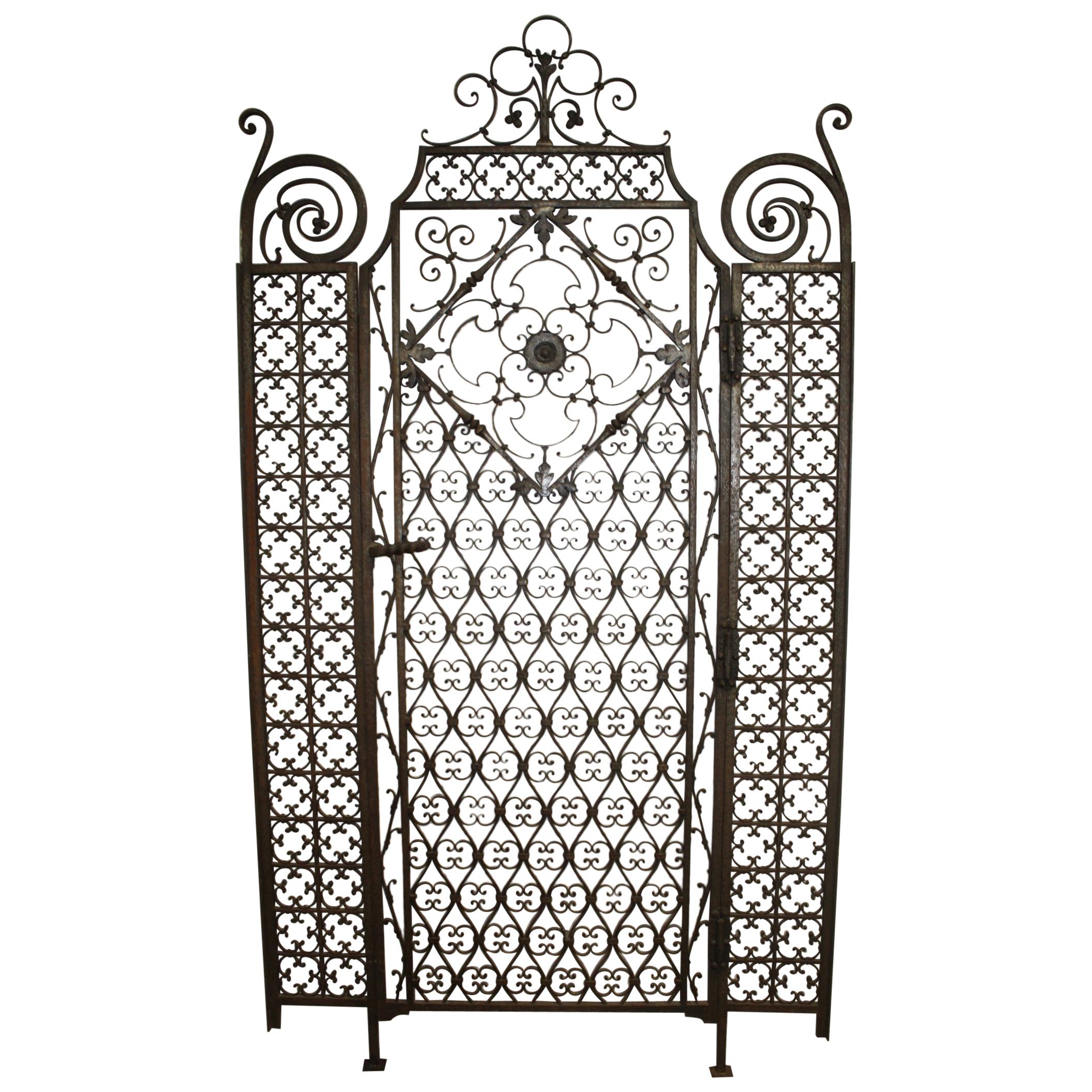Sublime 19th Century French Iron Door Gate