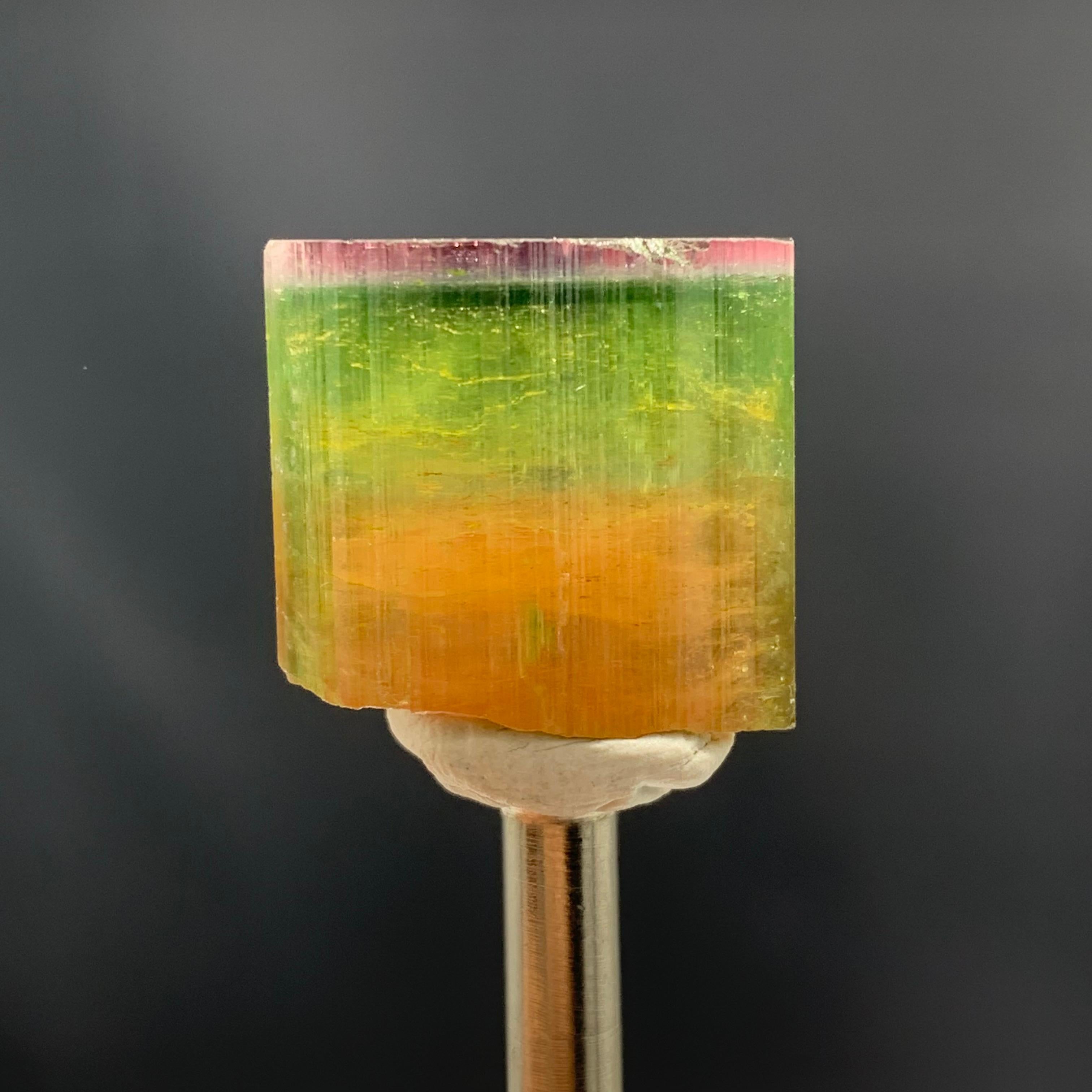 Erhabener dreifarbiger Turmalinkristall aus Nooristan, Afghanistan 
Gewicht: 53,15 Karat
Abmessung: 1.9 x 2.0 x 1.3 Cm
Herkunft: Nooristan, Afghanistan
Farbe: Rosa, Mintgrün und Orange
Die Form: Kristall
Qualität: AAA
Der Turmalin steht mit dem