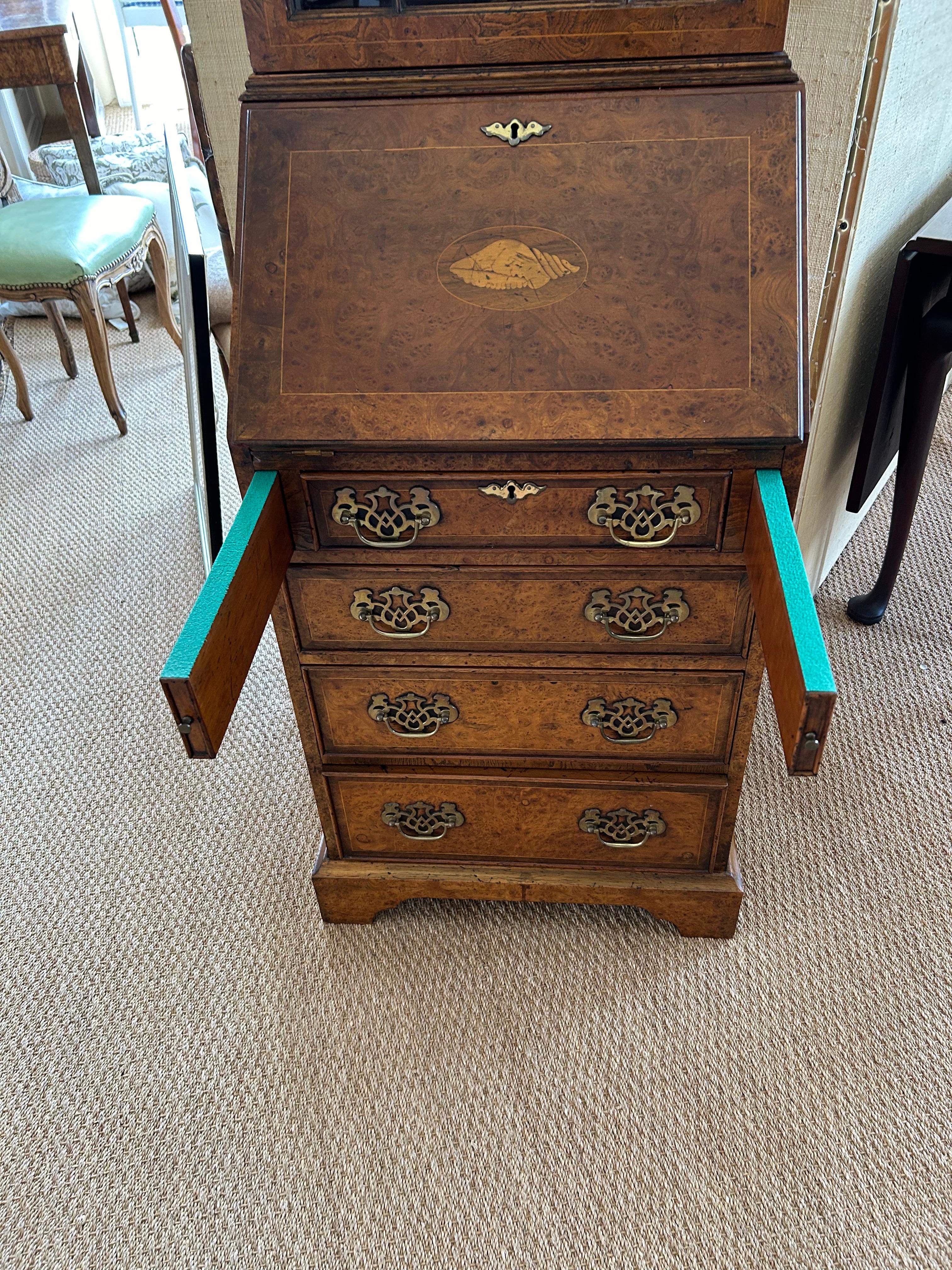 Sublime secrétaire anglais ancien étroitement décoré de coquillages 5