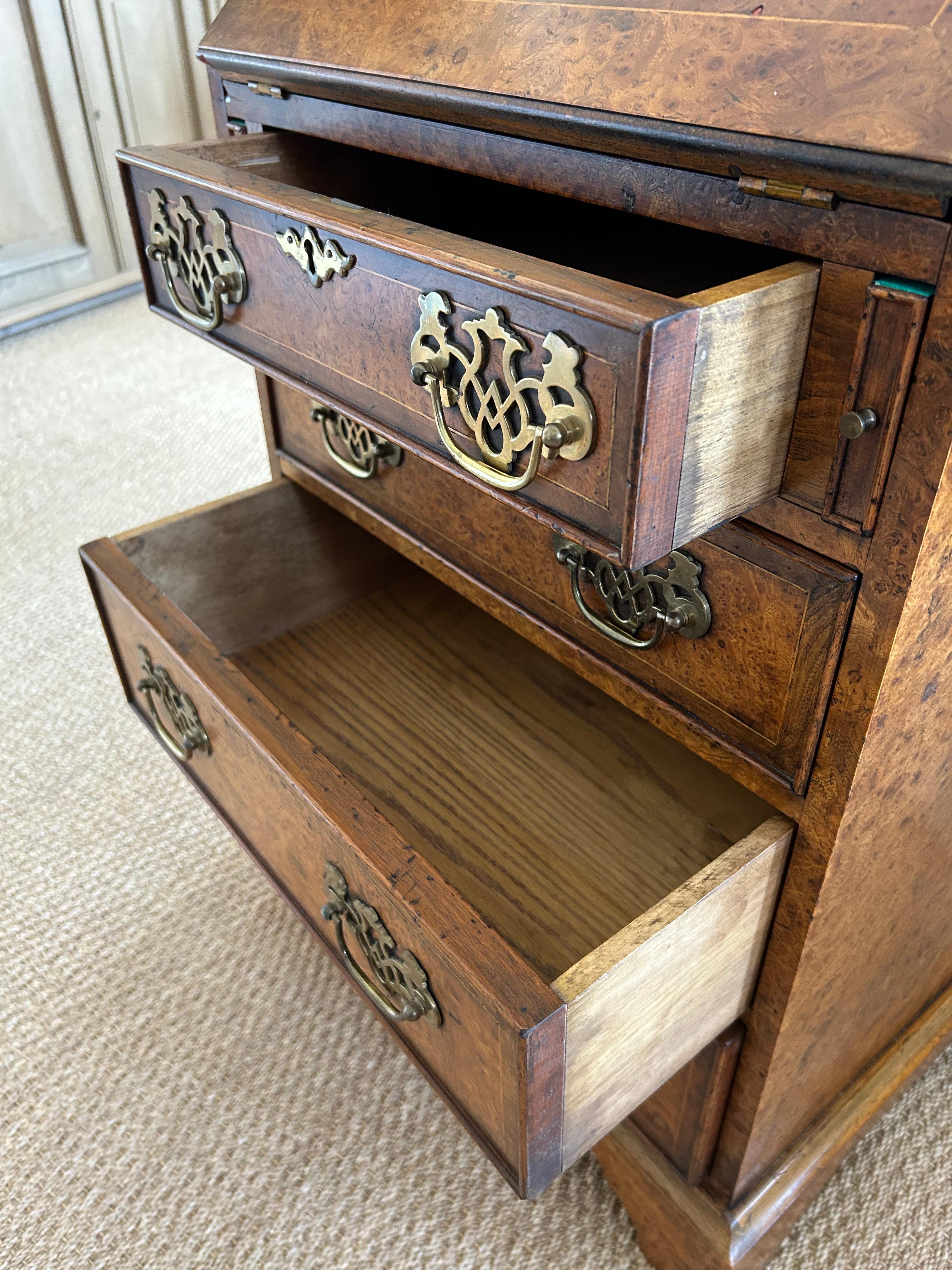 Sublime secrétaire anglais ancien étroitement décoré de coquillages 10