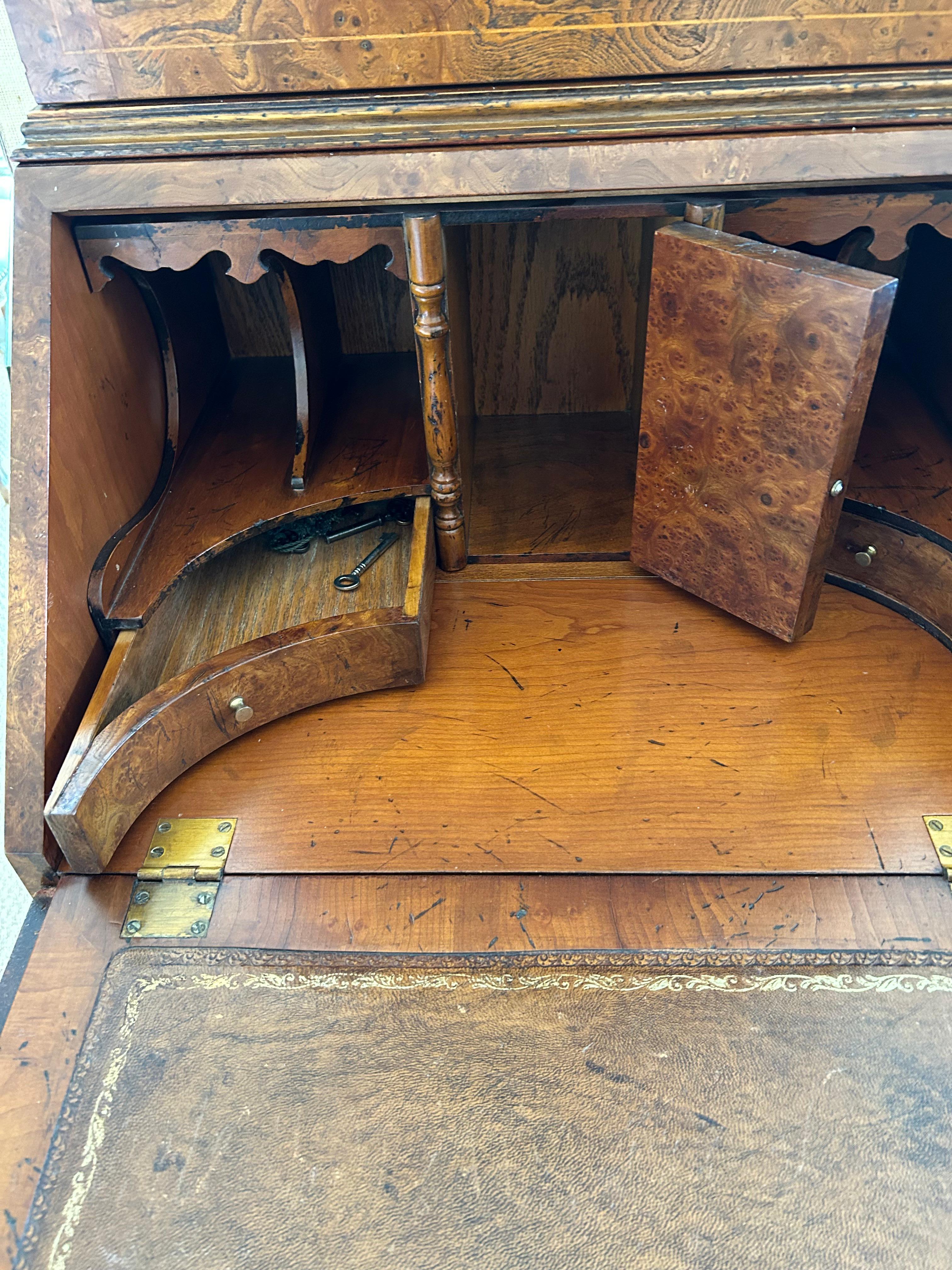 Sublime secrétaire anglais ancien étroitement décoré de coquillages 2