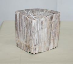 Sublime Pair of 180 Million Year Old Pretrified Fossil Wood Bookends Door Stops