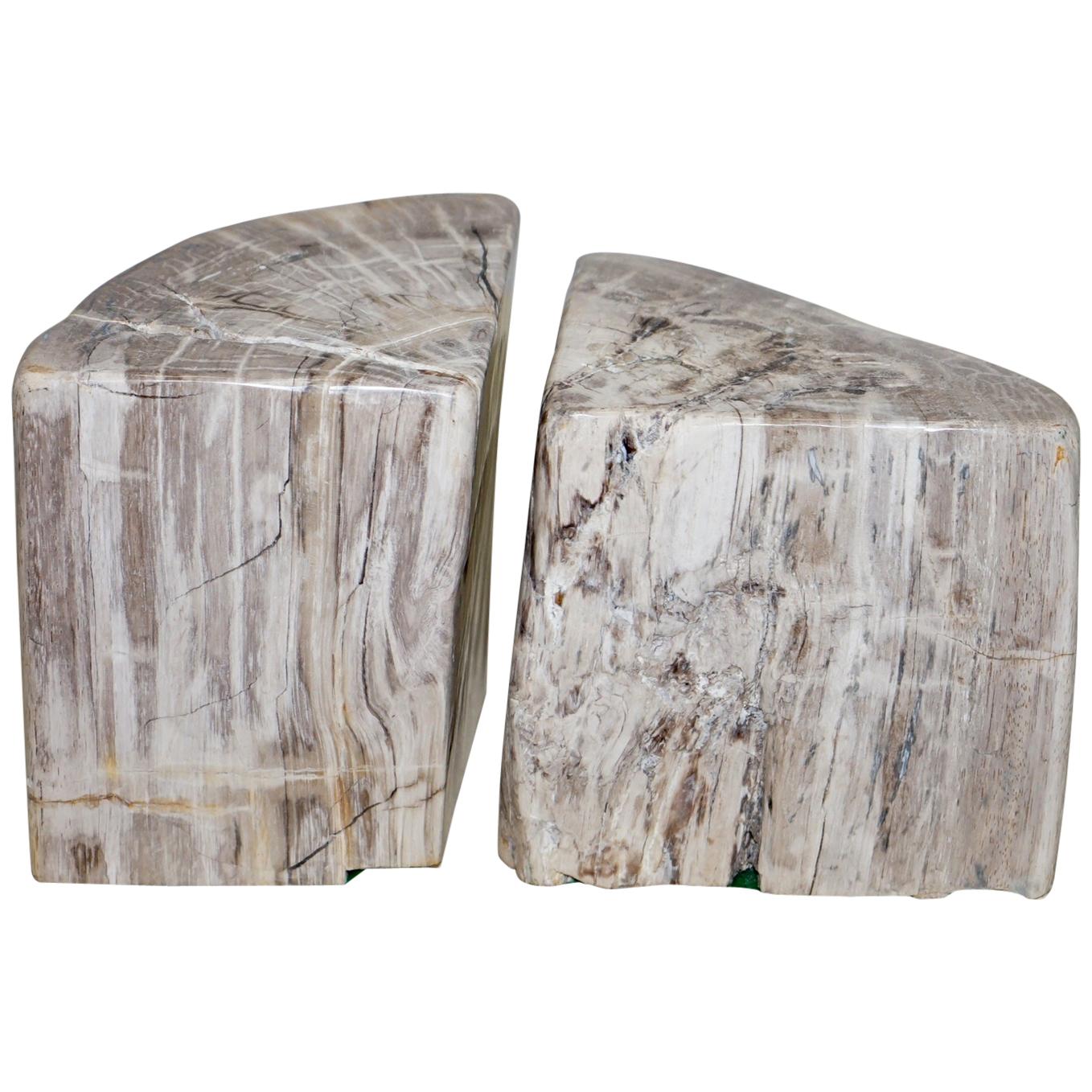 Sublime Pair of 180 Million Year Old Pretrified Fossil Wood Bookends Door Stops