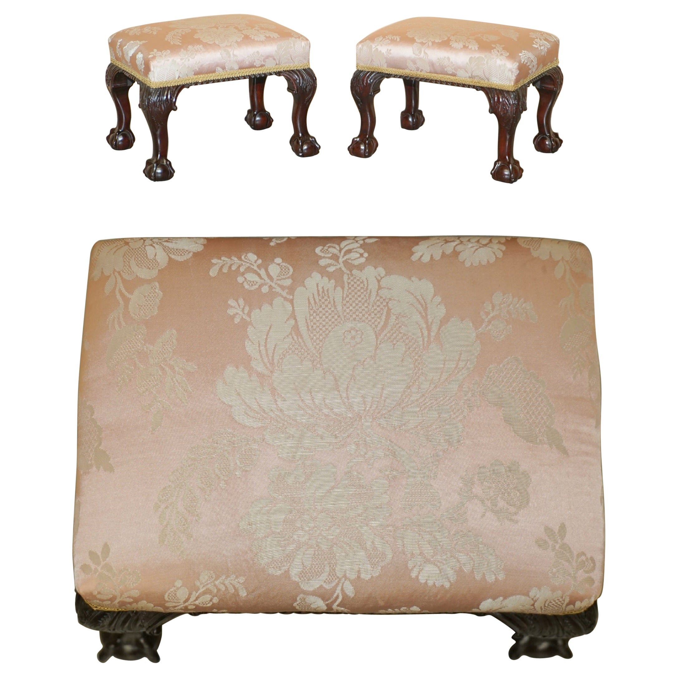 SUBLIME PAIRE DI ANTICHI PIEDINI VICTORIANI CON TELAIO IN LEGNO DURO The Claw & Ball