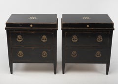 Sublime Pair of Regency Ebonized Small Commodes or Nightstands