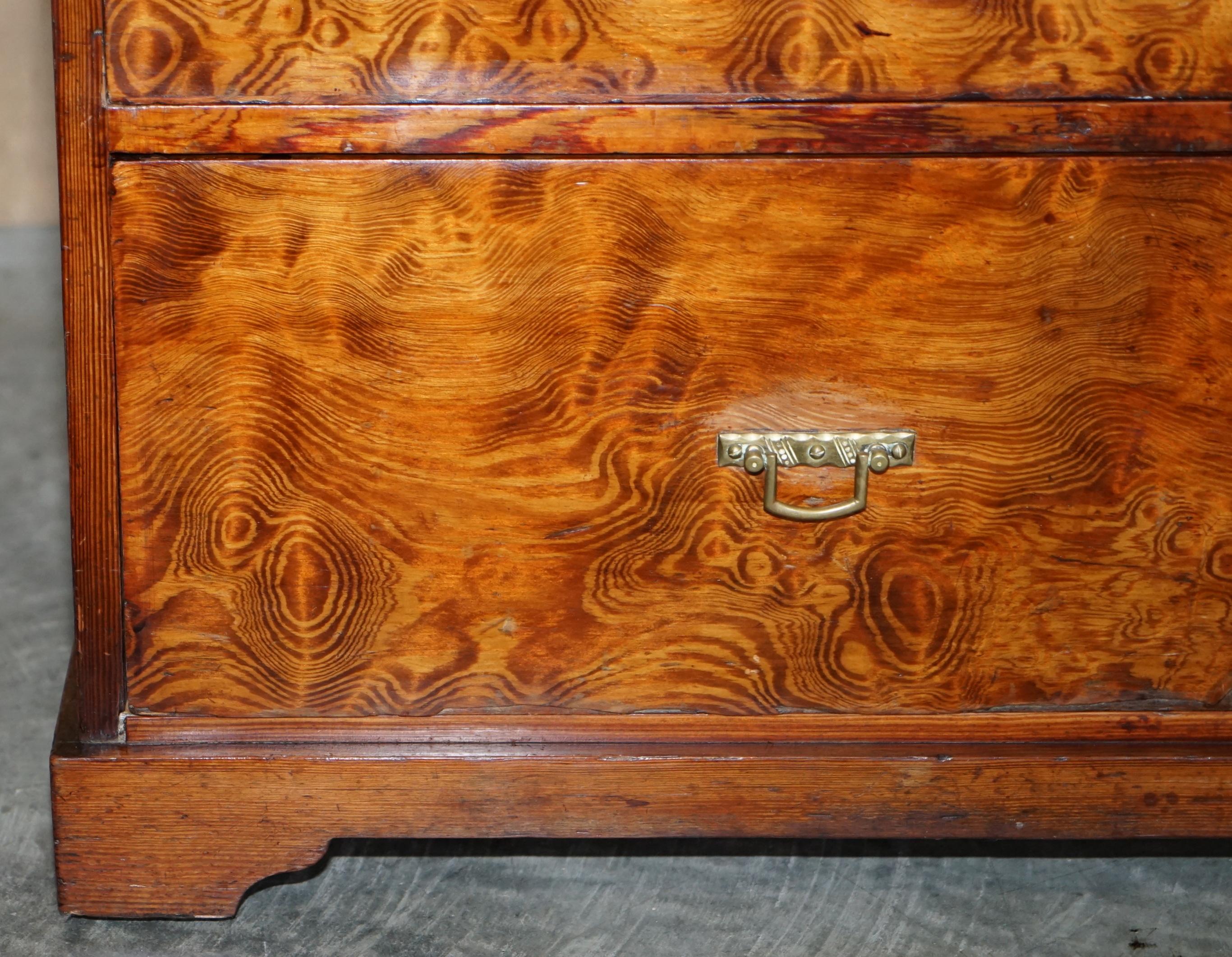 Sublime Patina circa 1880 Pitch Pine Chest of Drawers Must See Timber Grain!!!!! For Sale 6