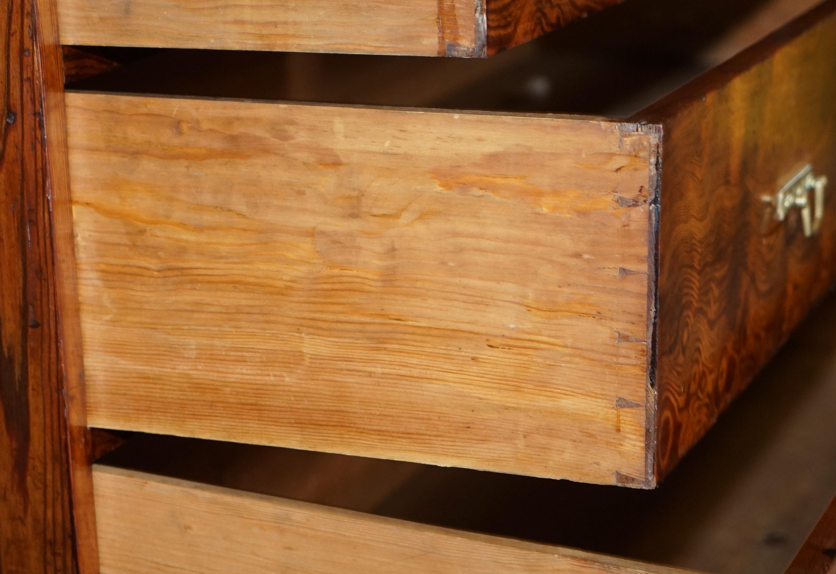 Sublime Patina circa 1880 Pitch Pine Chest of Drawers Must See Timber Grain!!!!! For Sale 12