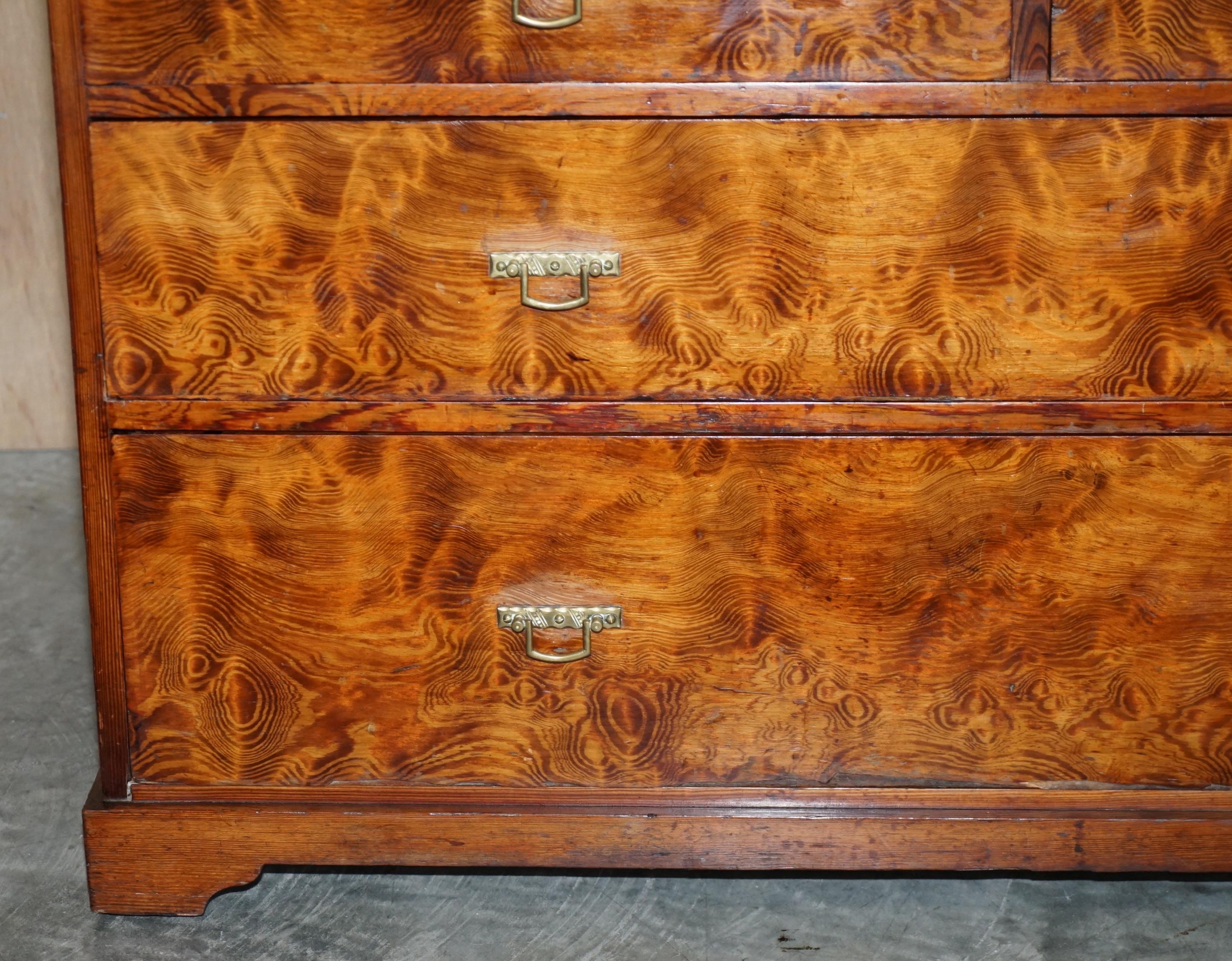 Late 19th Century Sublime Patina circa 1880 Pitch Pine Chest of Drawers Must See Timber Grain!!!!! For Sale