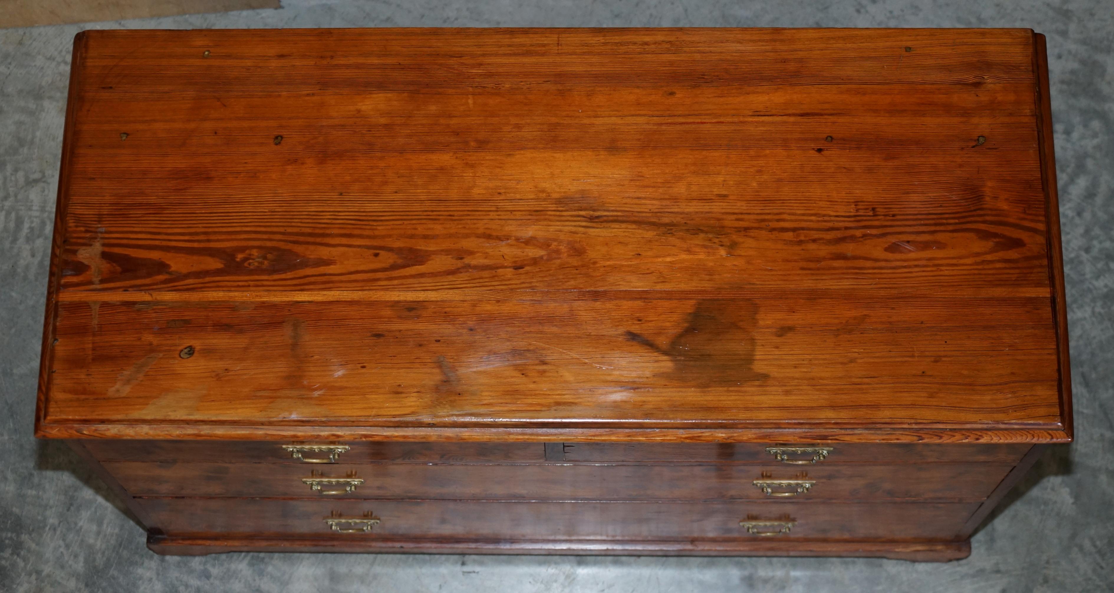 Sublime Patina circa 1880 Pitch Pine Chest of Drawers Must See Timber Grain!!!!! For Sale 1