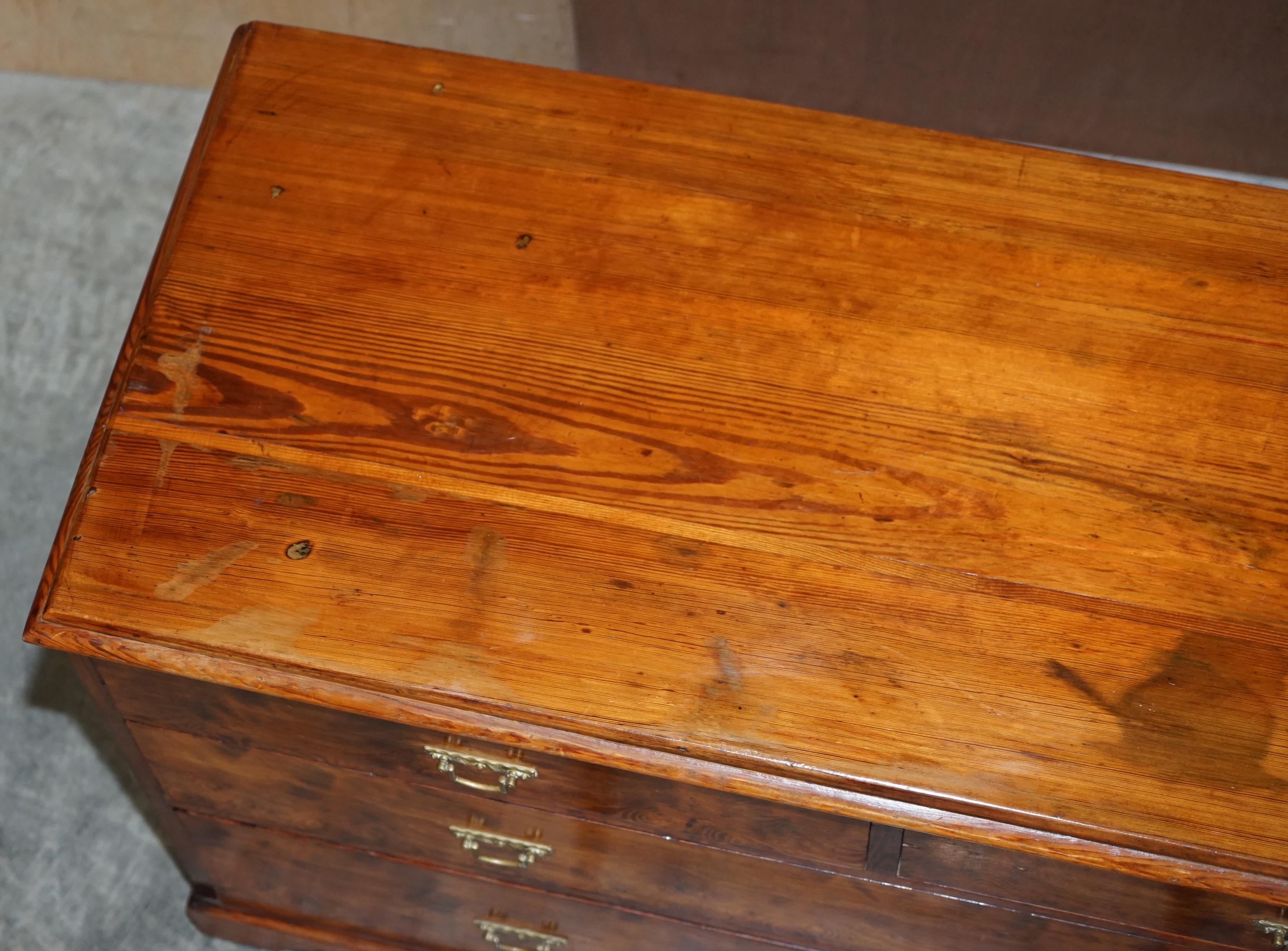 Sublime Patina circa 1880 Pitch Pine Chest of Drawers Must See Timber Grain!!!!! For Sale 2
