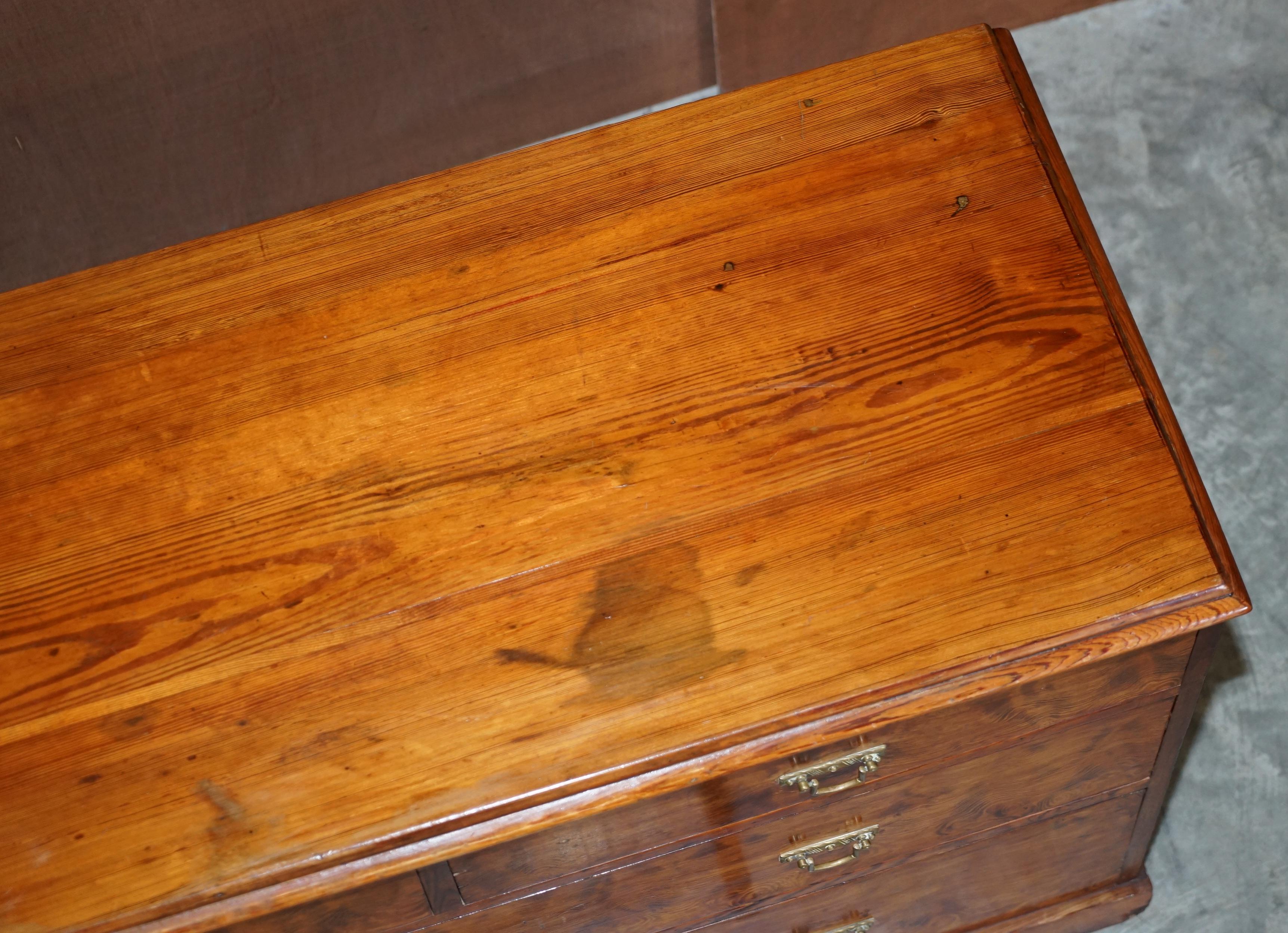 Sublime Patina circa 1880 Pitch Pine Chest of Drawers Must See Timber Grain!!!!! For Sale 3