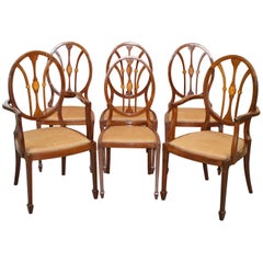 Sublime Suite of 6 Sheraton Revival George Hepplewhite Dining Chairs Part Suite