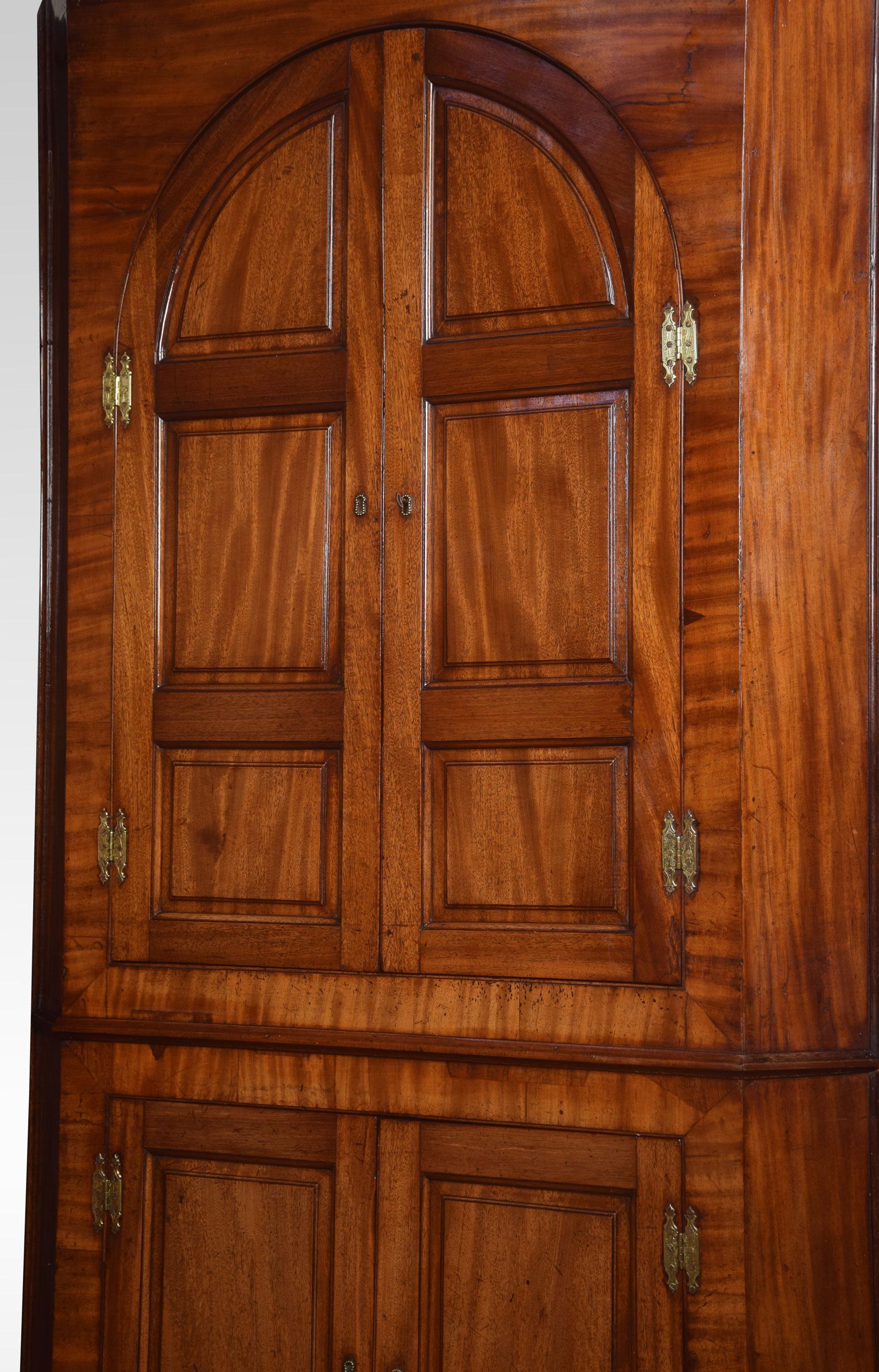 19th Century Substantial Country House Mahogany Corner Cupboard For Sale