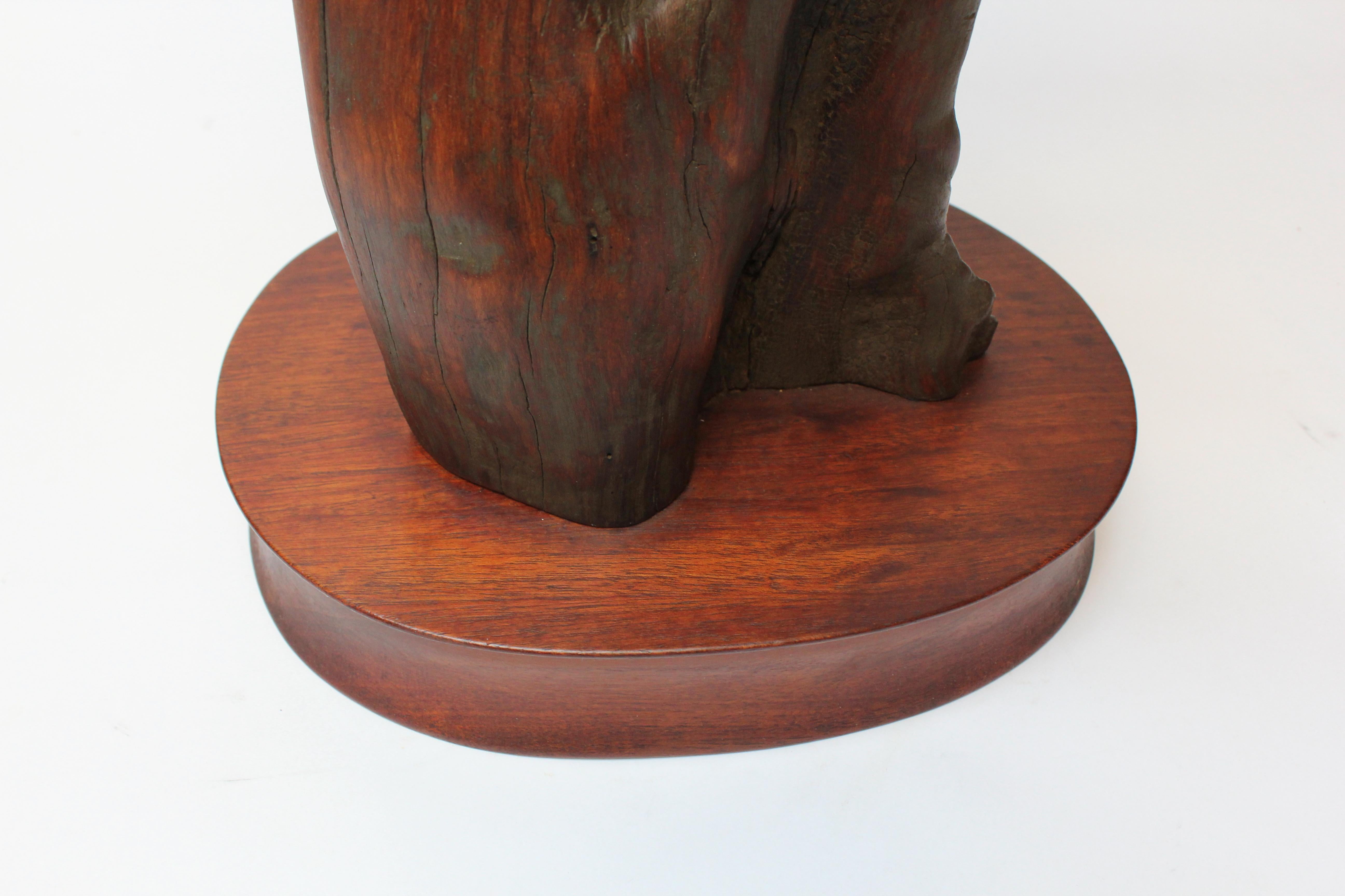 Substantial Driftwood Table Lamp on Mahogany Base For Sale 10