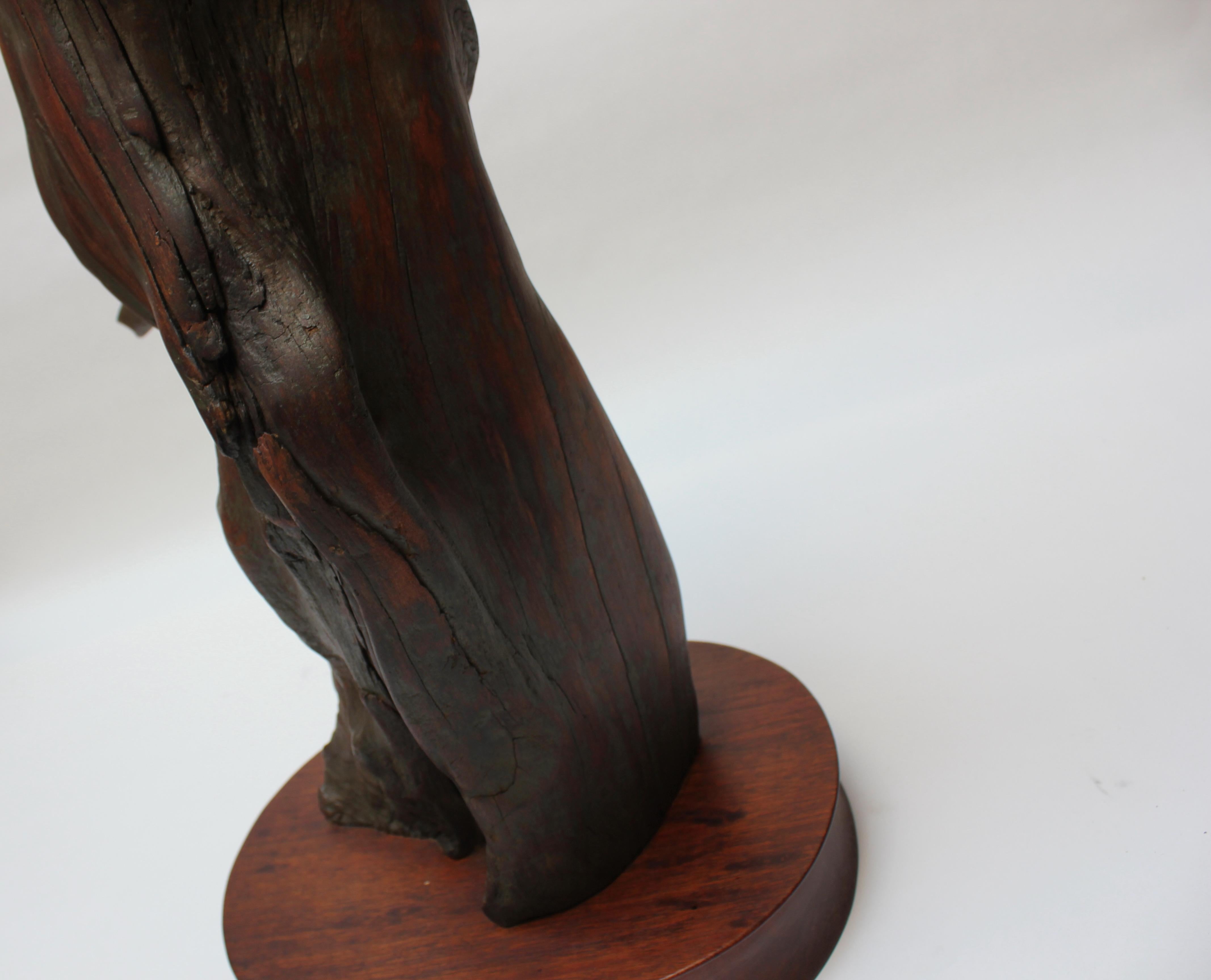 Substantial Driftwood Table Lamp on Mahogany Base For Sale 12