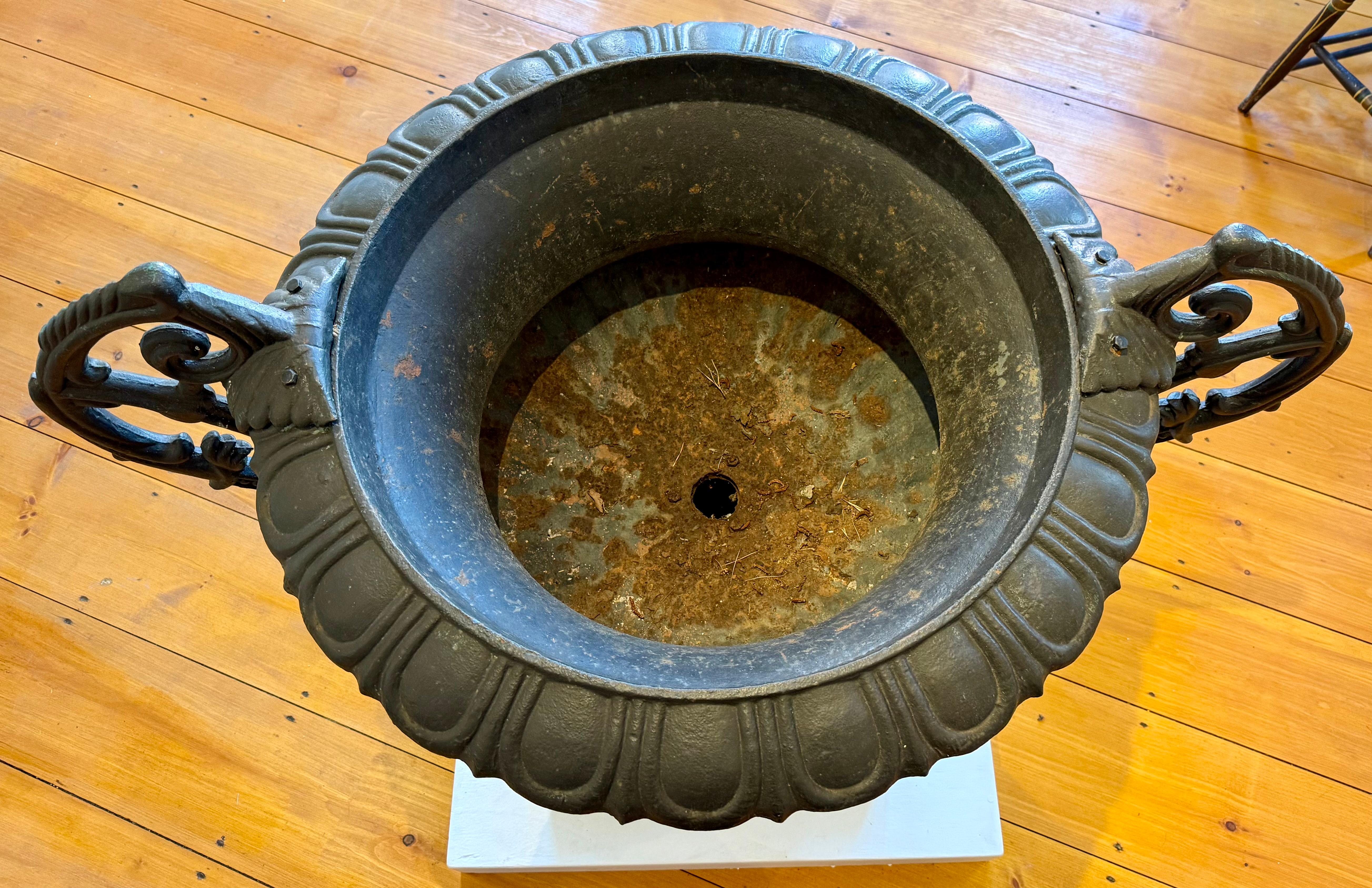 Substantial Early 20th Century Cast Iron Urn For Sale 1