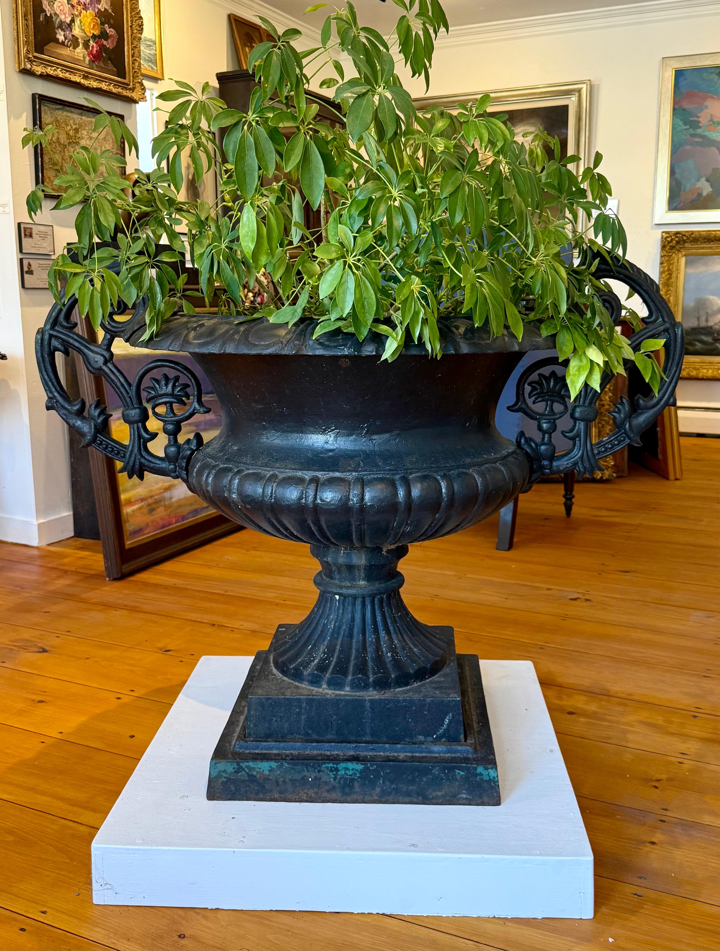 Substantial Early 20th Century Cast Iron Urn For Sale 3