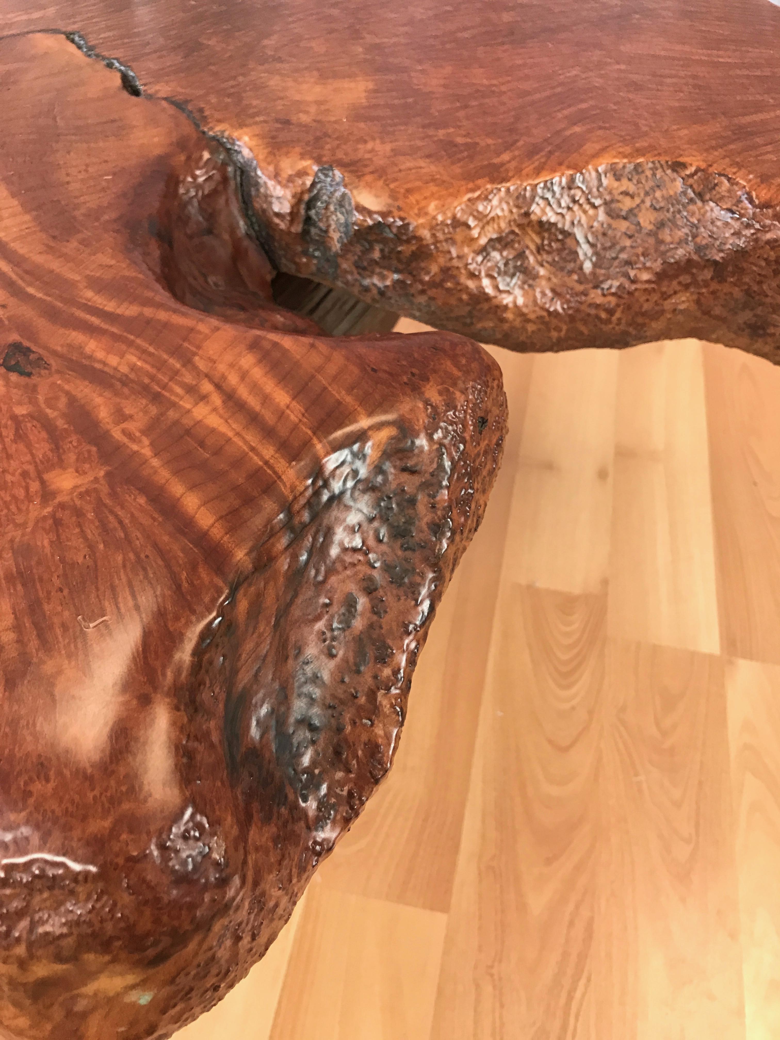 Substantial Live Edge California Redwood Burl Coffee Table, 1970s 3