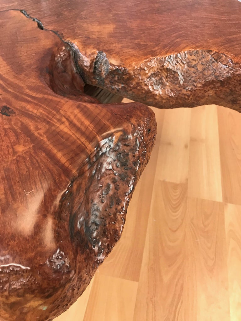 Substantial Live Edge California Redwood Burl Coffee Table ...
