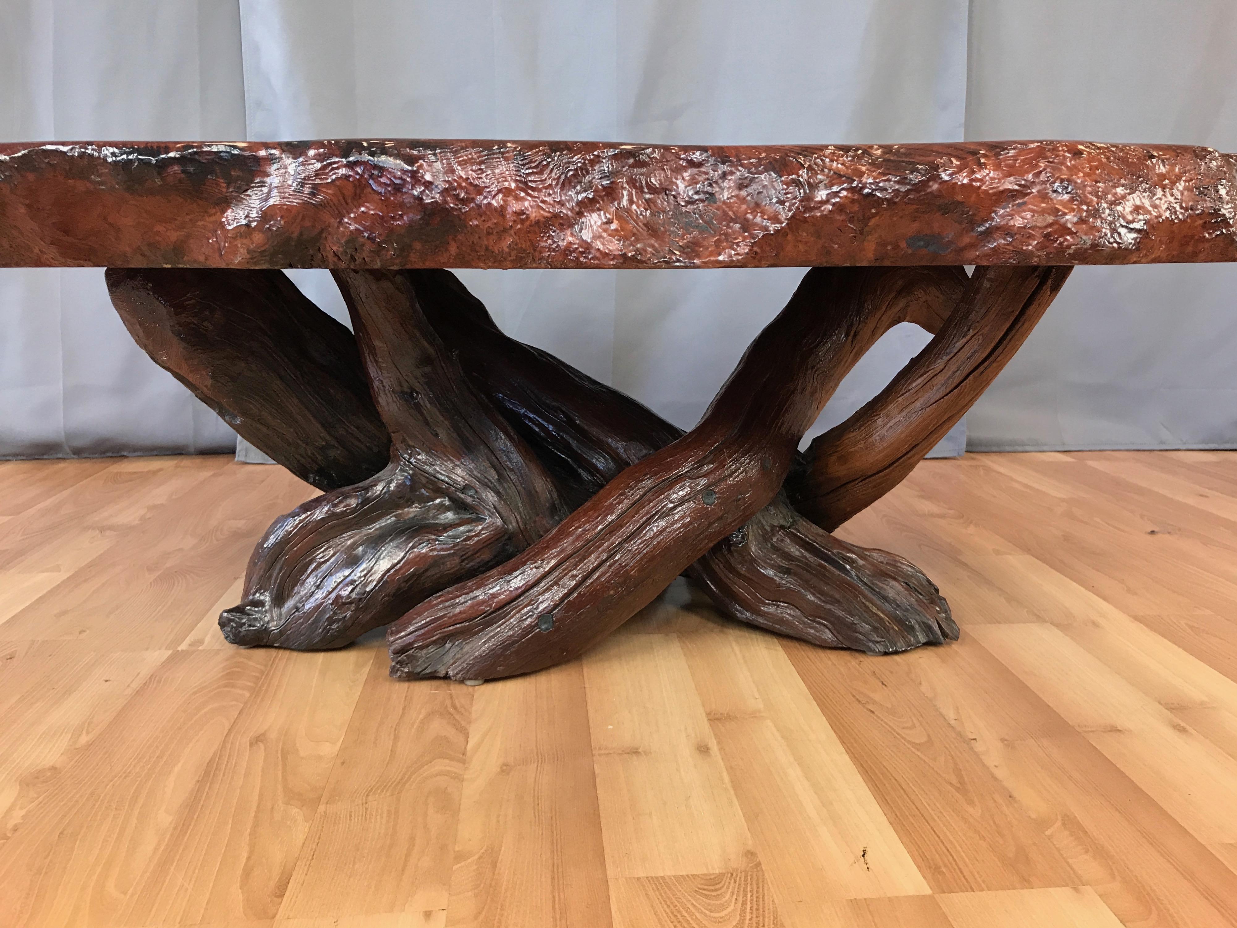 Substantial Live Edge California Redwood Burl Coffee Table, 1970s 4