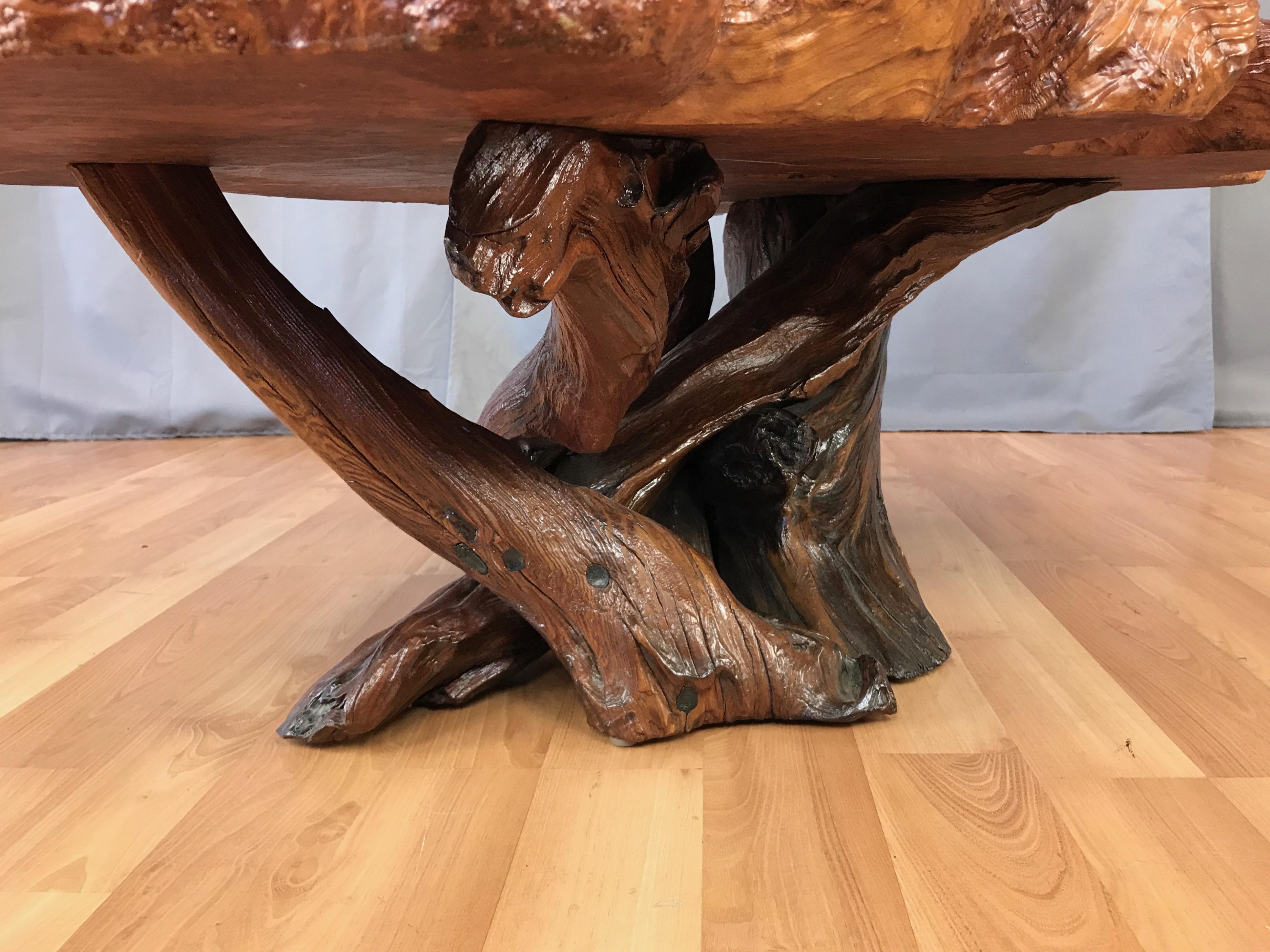 Substantial Live Edge California Redwood Burl Coffee Table, 1970s 7
