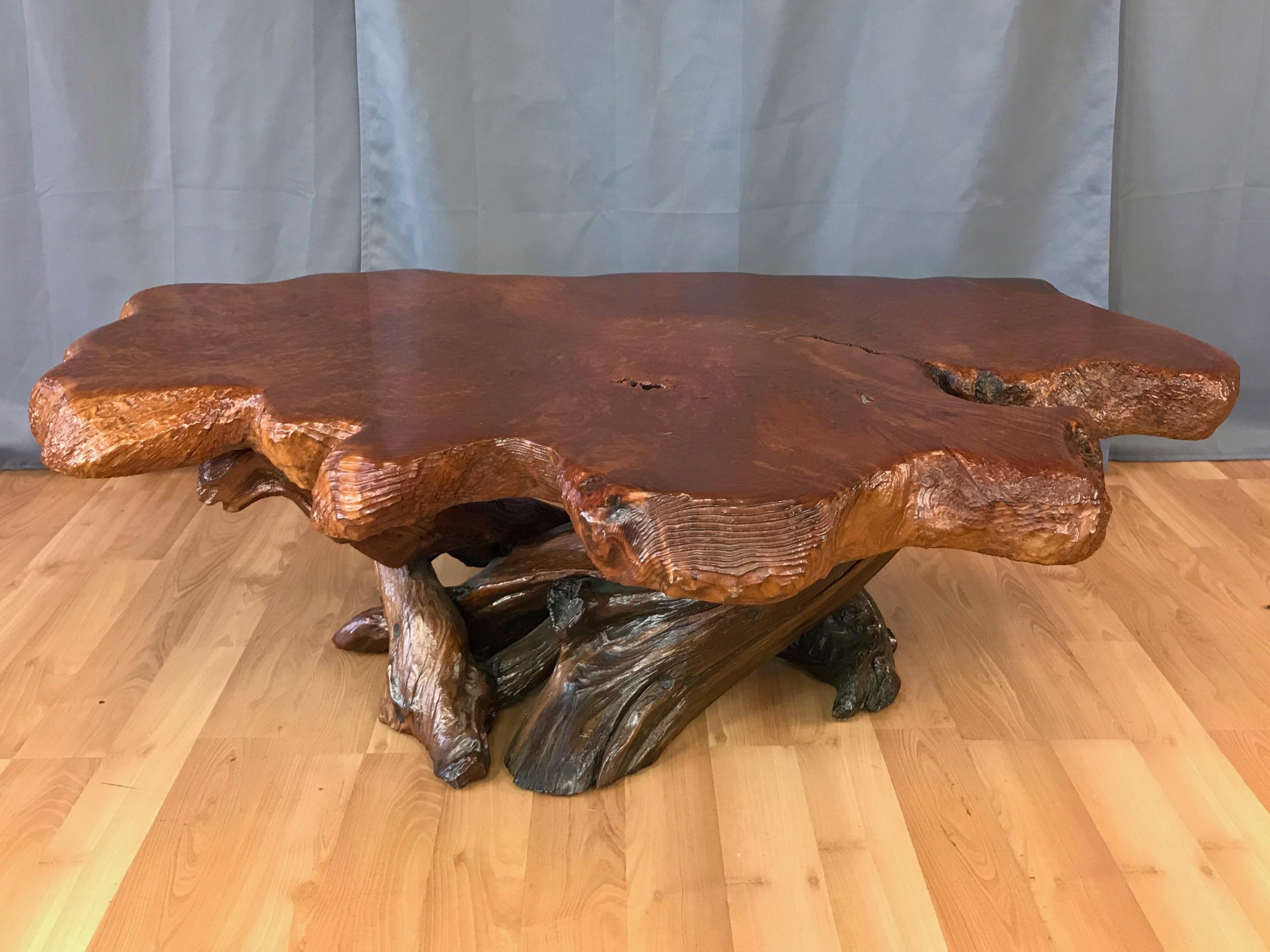 An impressively sized and very well-crafted live edge California redwood burl coffee table with root base.

Substantial three inch-thick slab top with incredibly curly, dense, and dynamic figuring is a striking caramel colored example of an