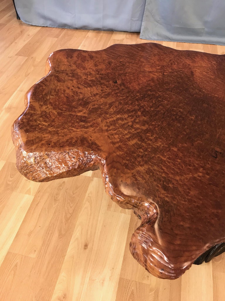 Substantial Live Edge California Redwood Burl Coffee Table, 1970s at