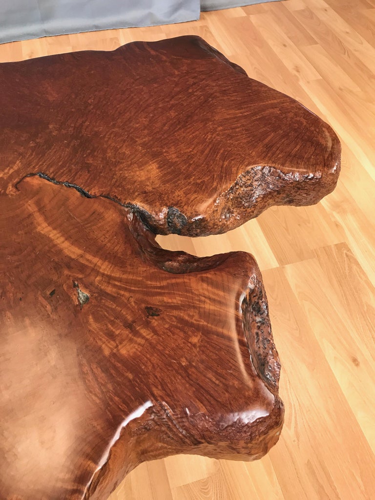 Substantial Live Edge California Redwood Burl Coffee Table, 1970s at