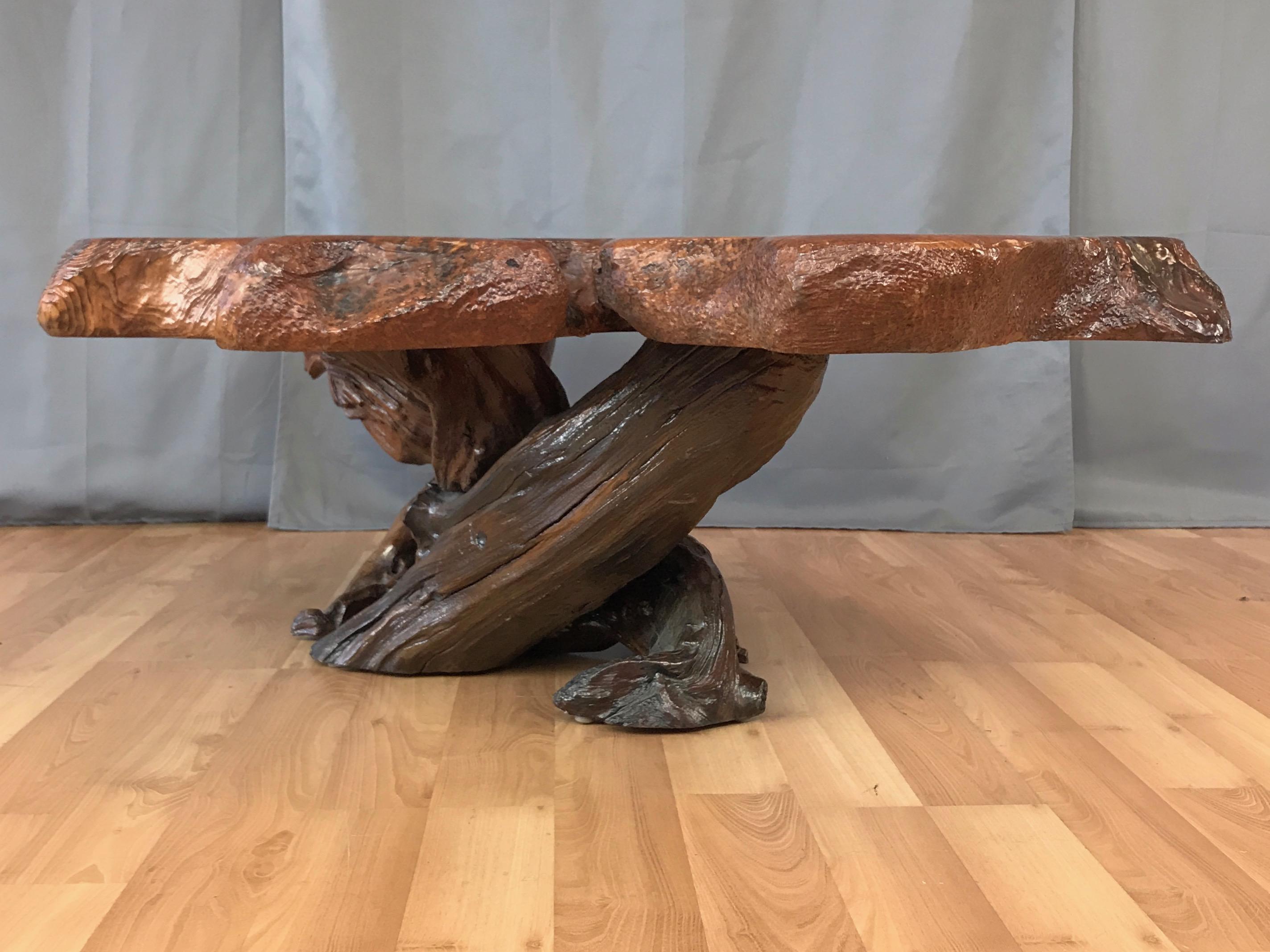 American Substantial Live Edge California Redwood Burl Coffee Table, 1970s
