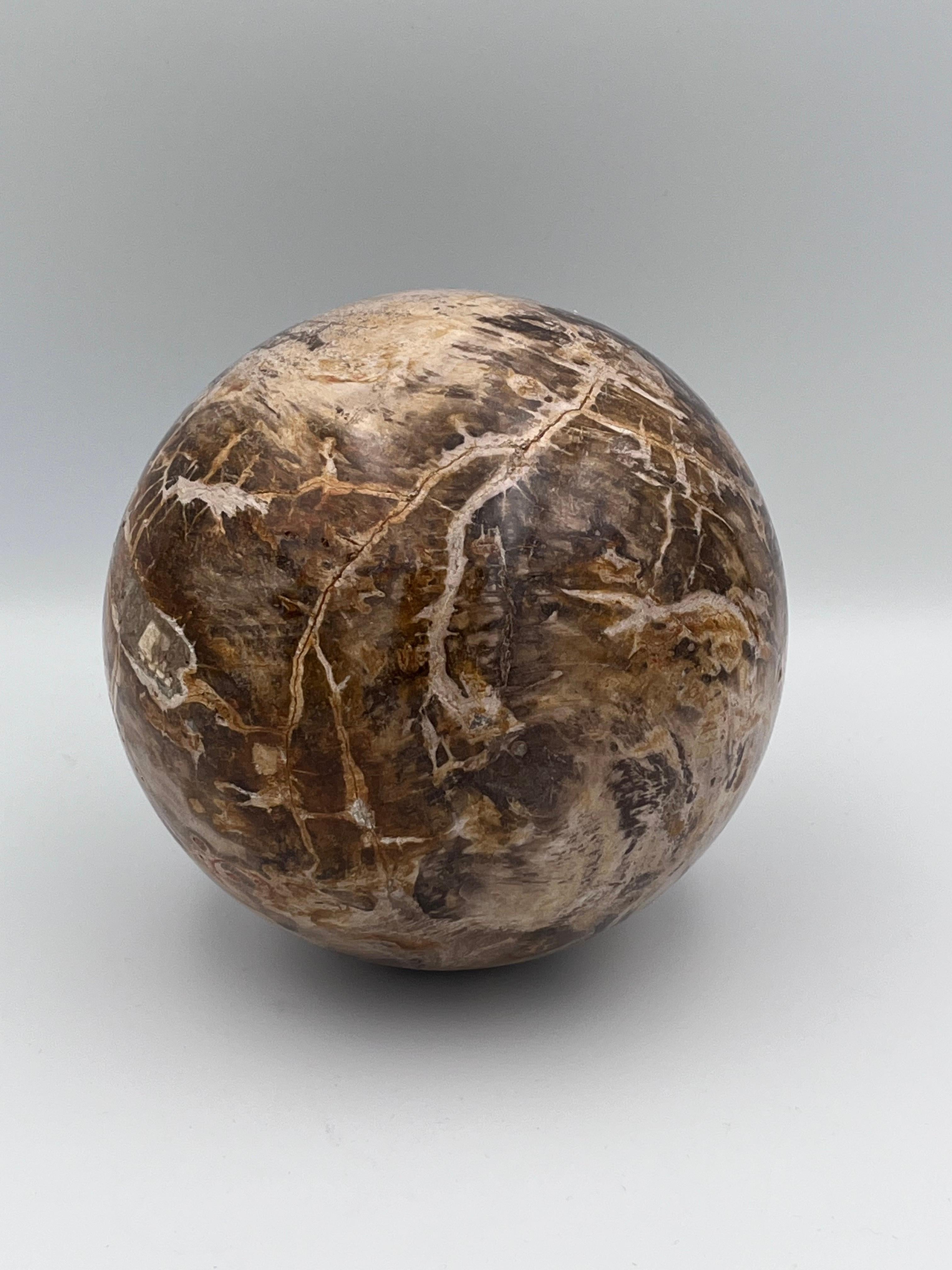 Substantial Polished Petrified Fossilized Wood Decorative Sphere / Orb, 5.5
