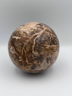 Substantial Polished Petrified Fossilized Wood 5.5" Decorative Sphere / Orb