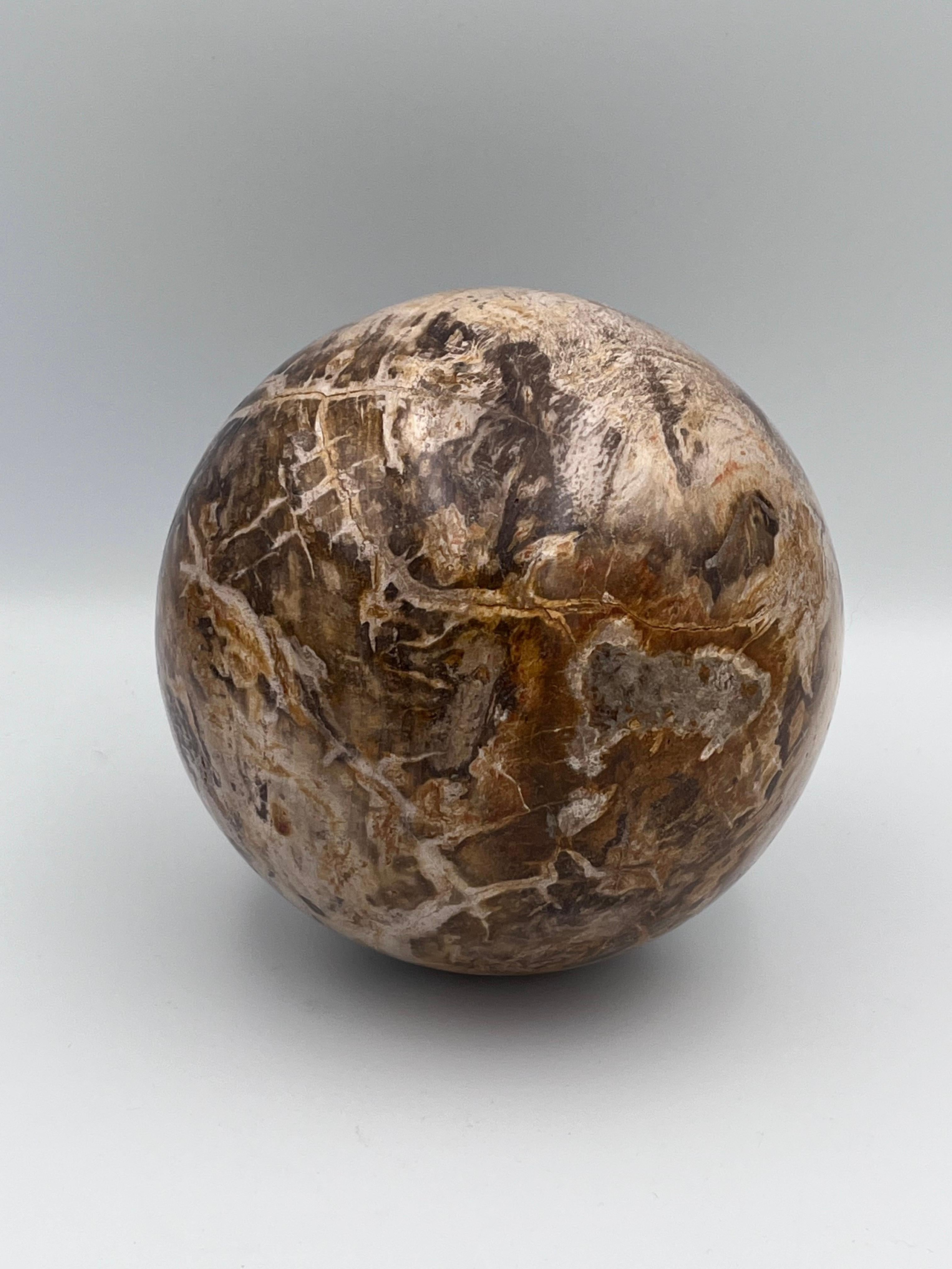 Substantial Polished Petrified Fossilized Wood 5.5