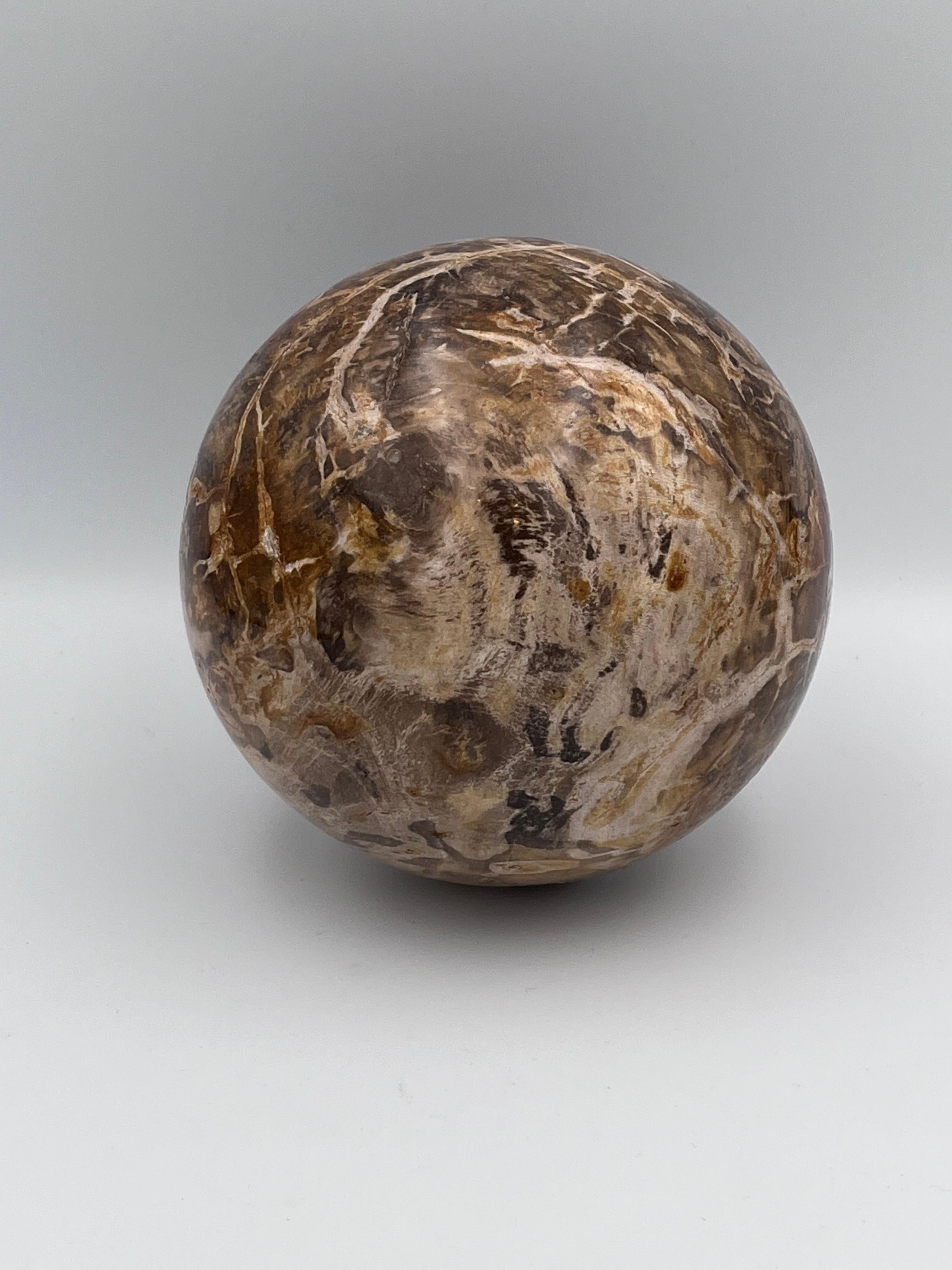 Substantial Polished Petrified Fossilized Wood 5.5