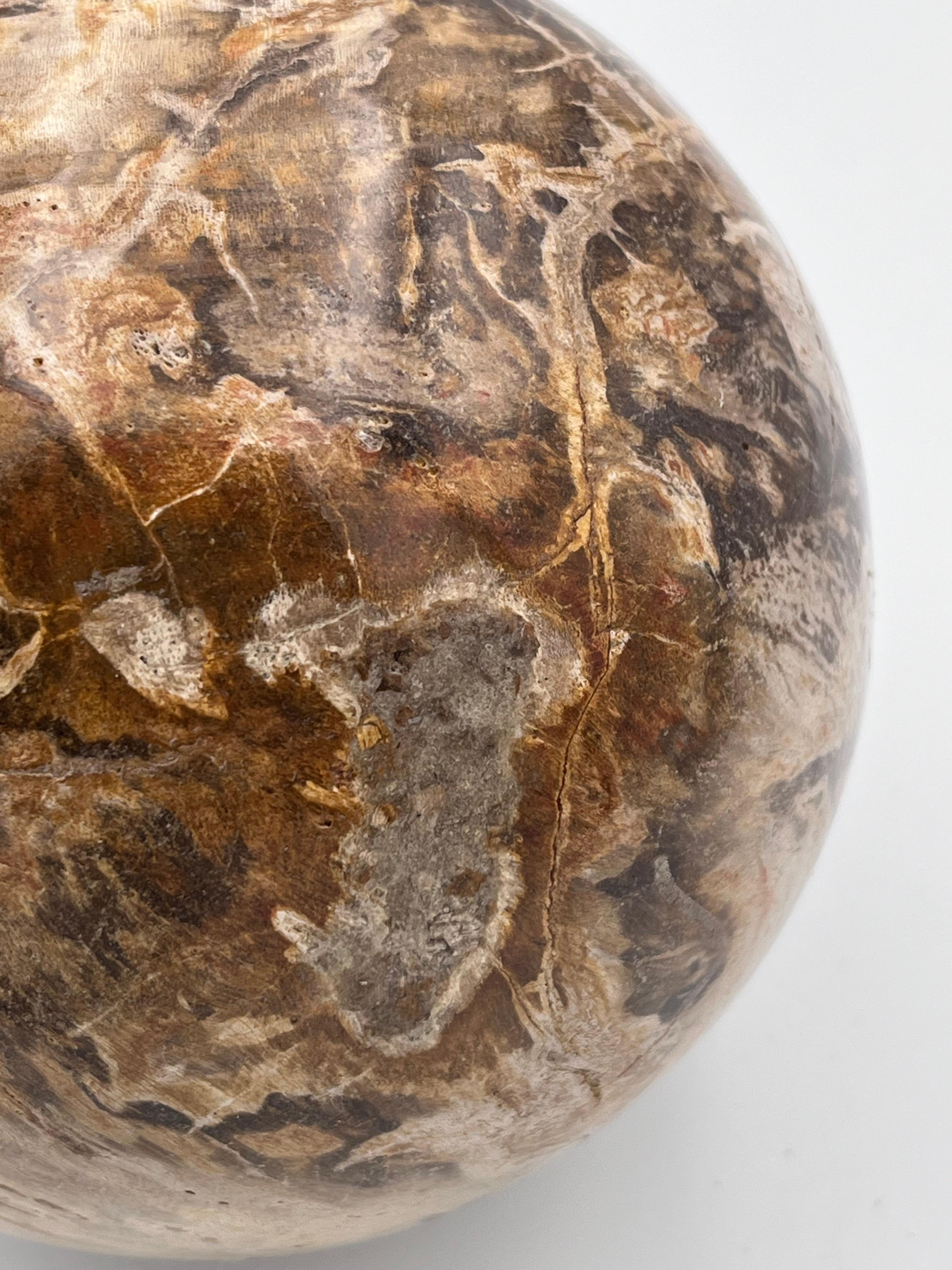 Substantial Polished Petrified Fossilized Wood 5.5